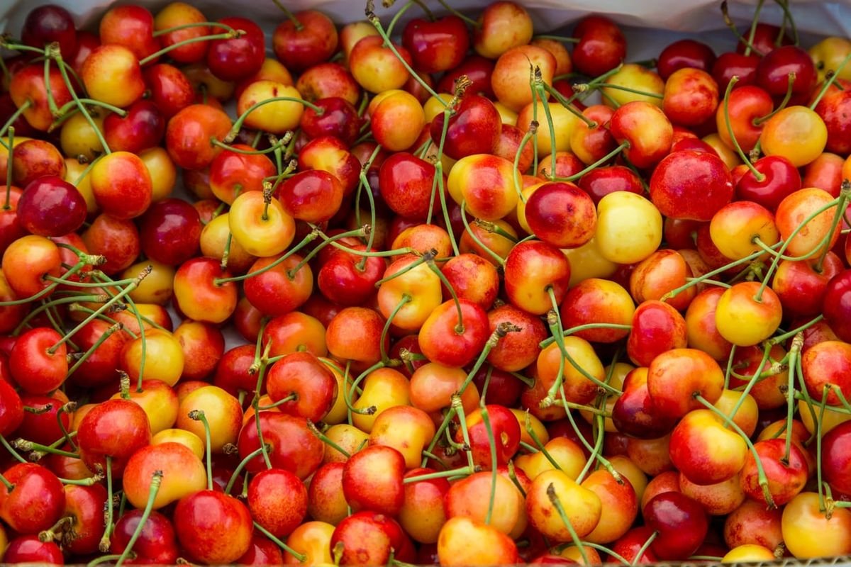 cherries, rainier