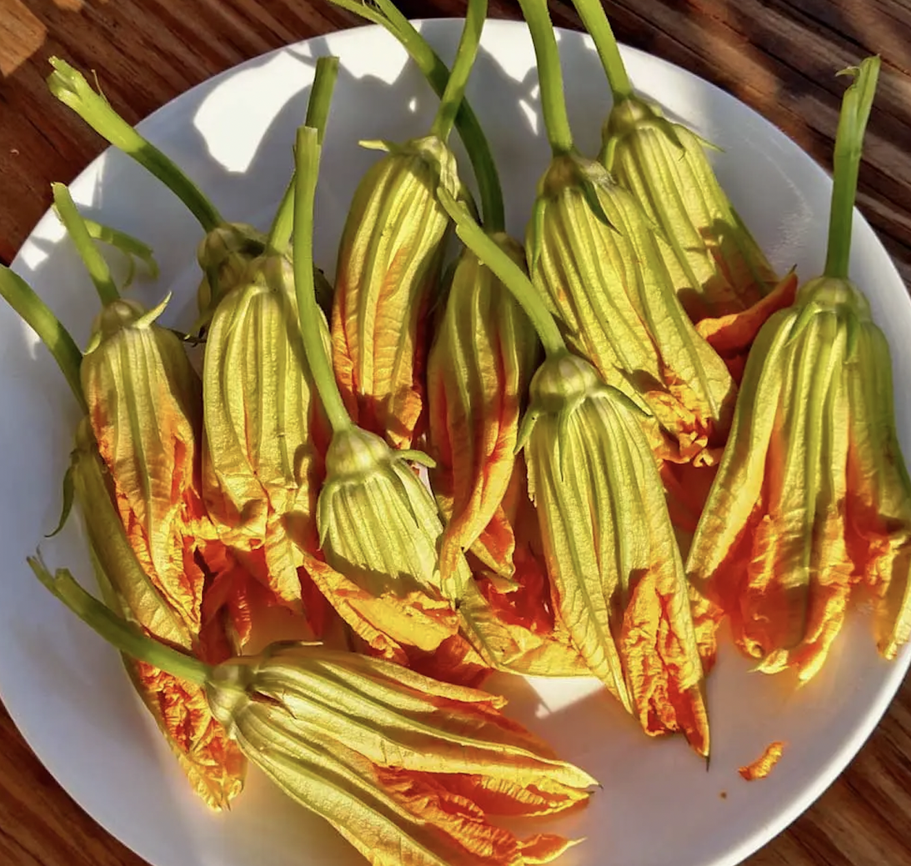 squash blossoms