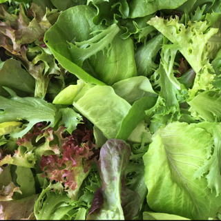 lettuce mix salanova.png