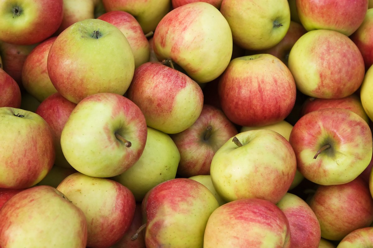 apples, jonagold