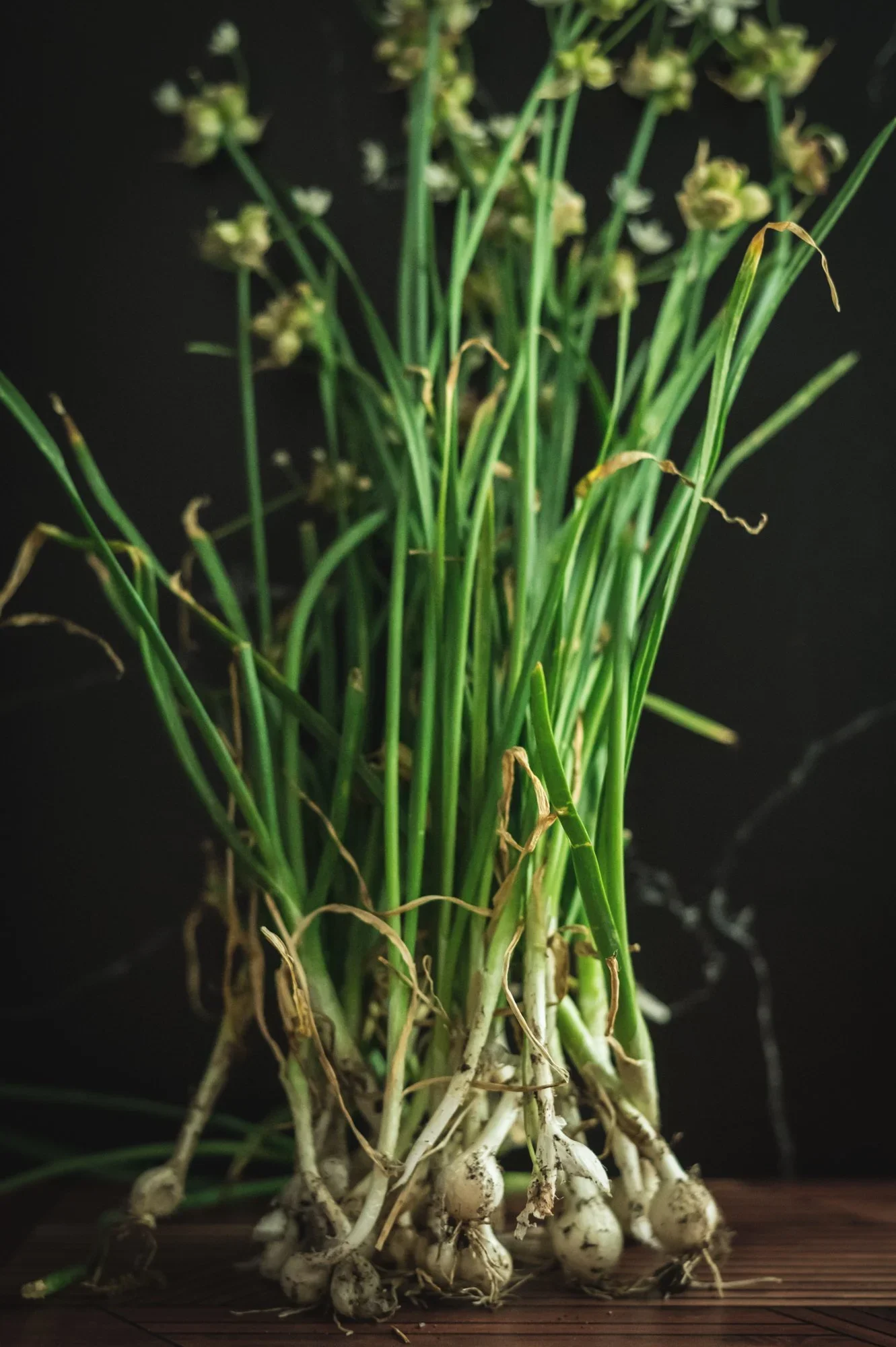 onion, wild spring bunches.webp