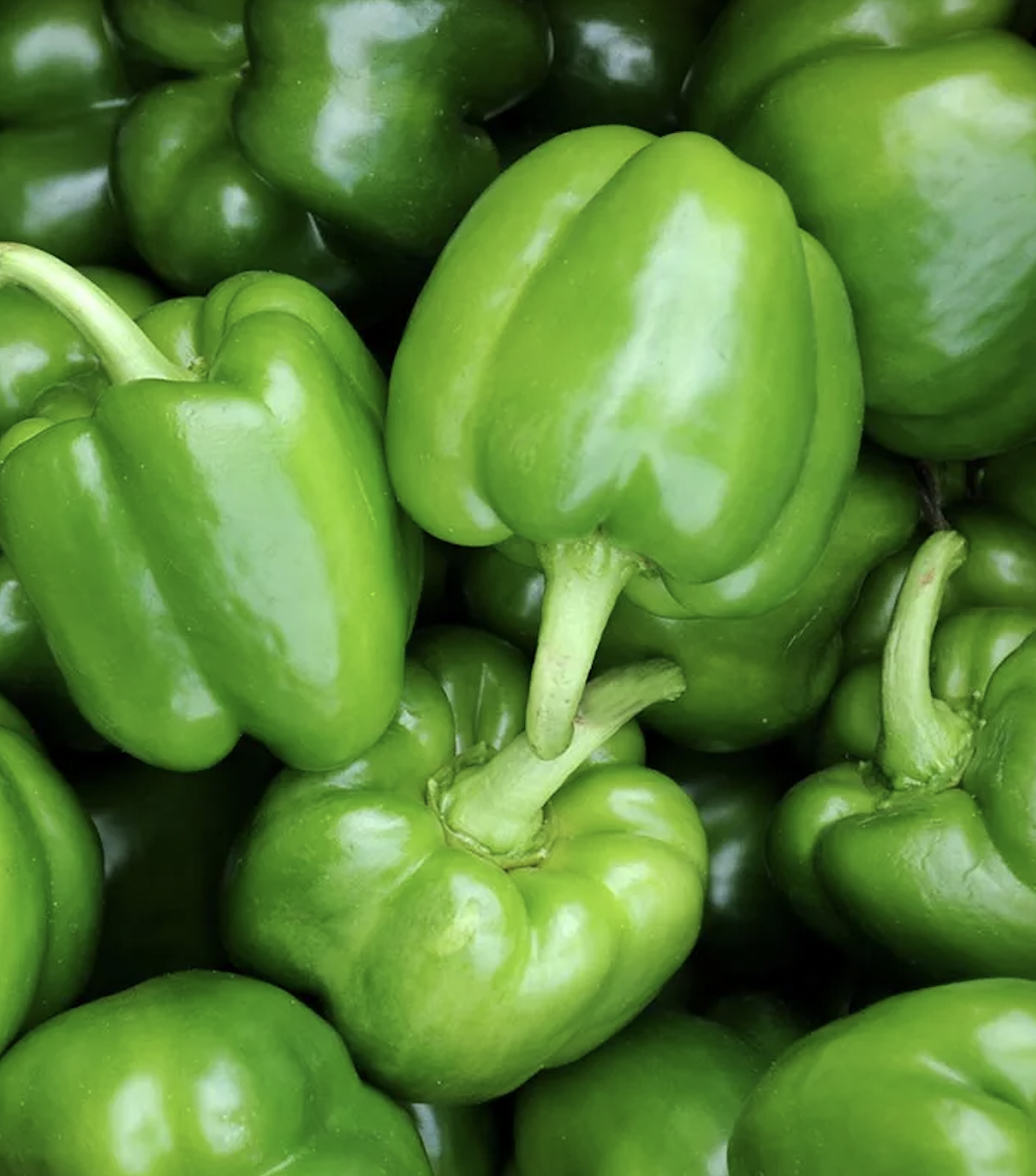 pepper, bell green