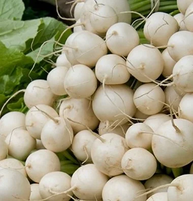 turnips, hakurei (loose)
