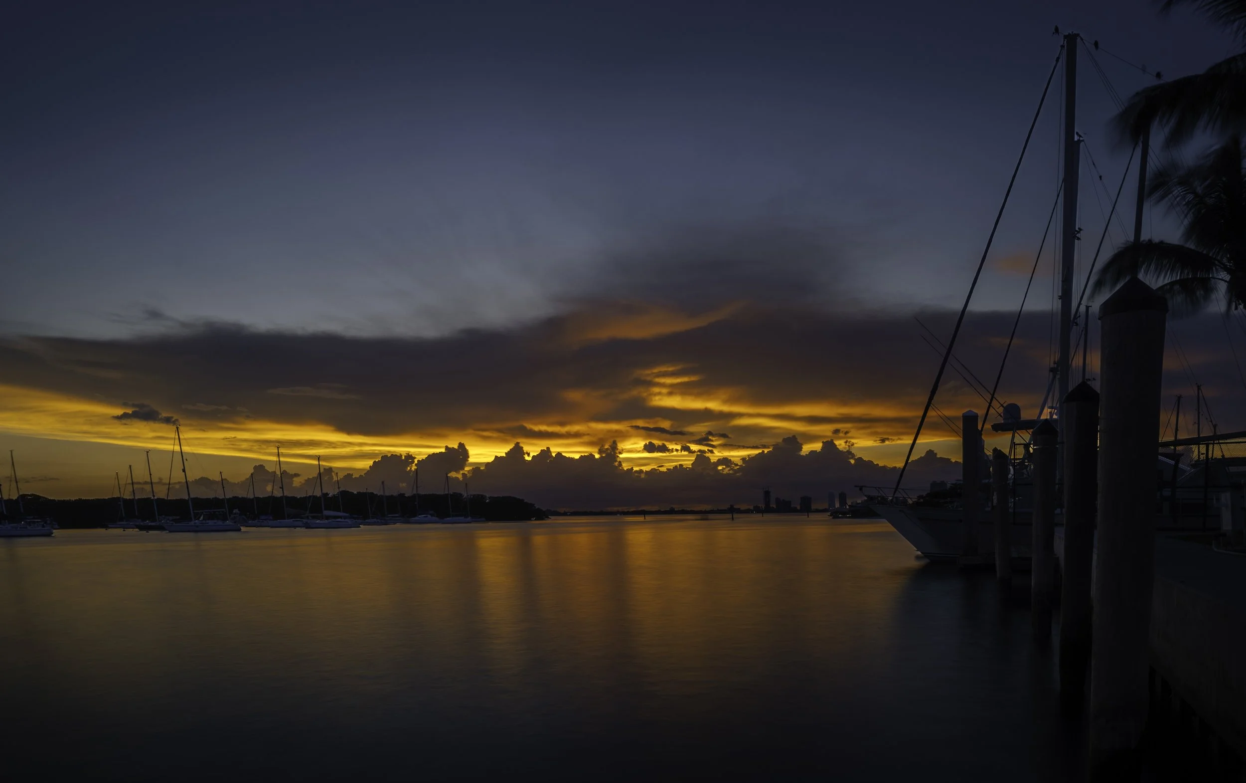 Miami-2023-8865.jpg