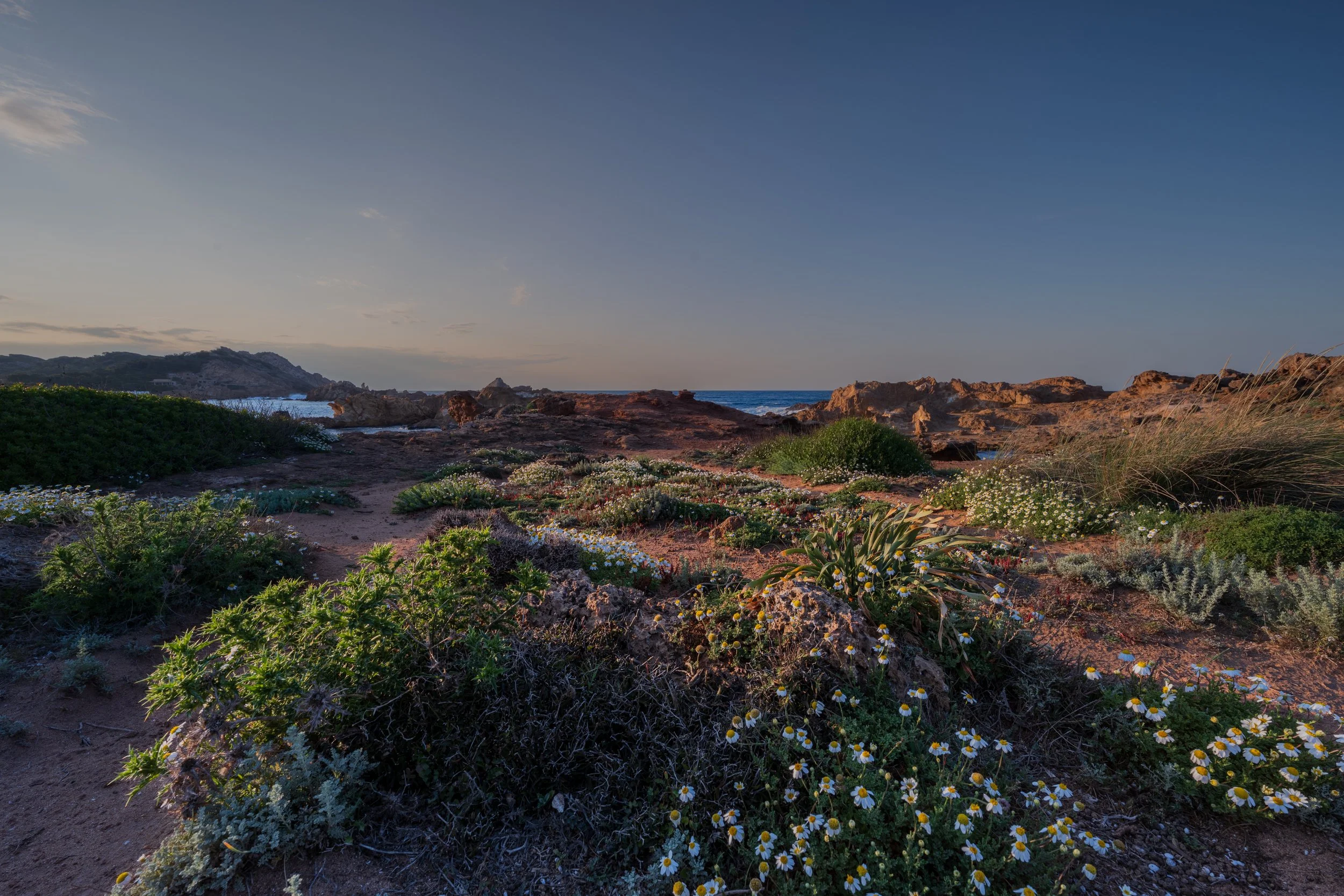 DSC_3697.jpg