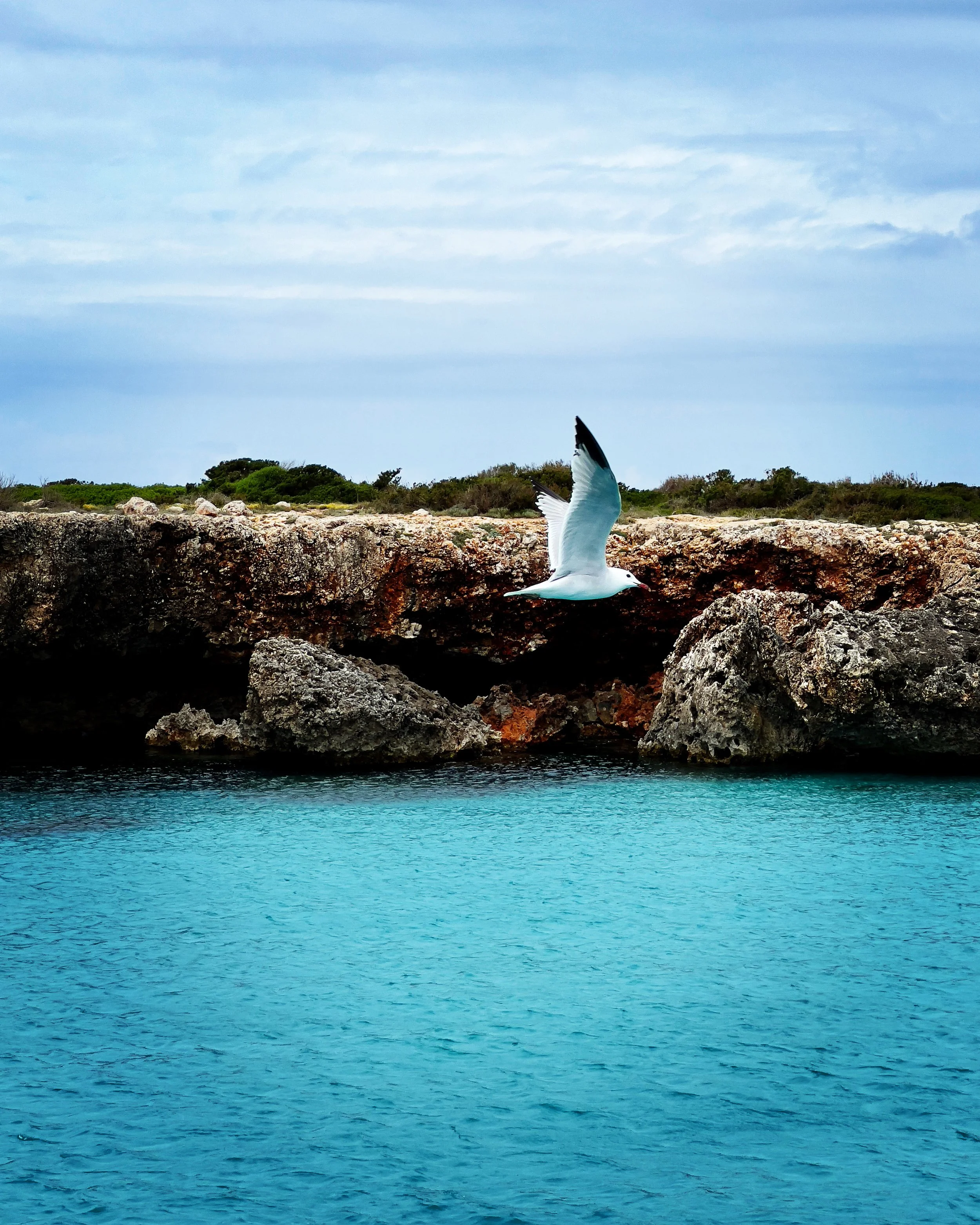 Algún lugar en Menorca España desde un catamarán