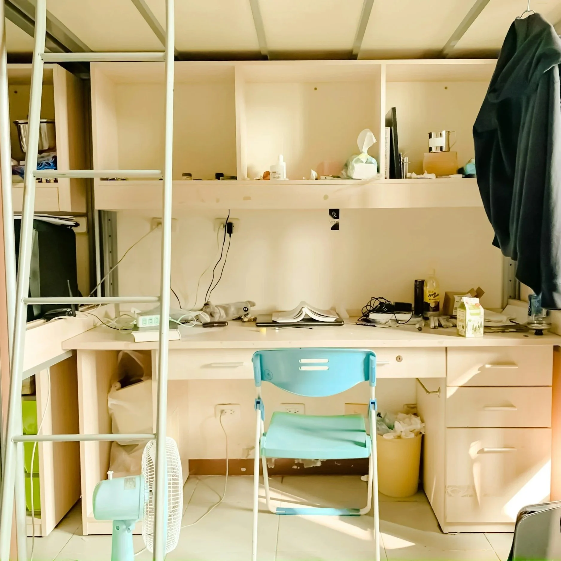 Pro Tips for Organizing with a Dormmate