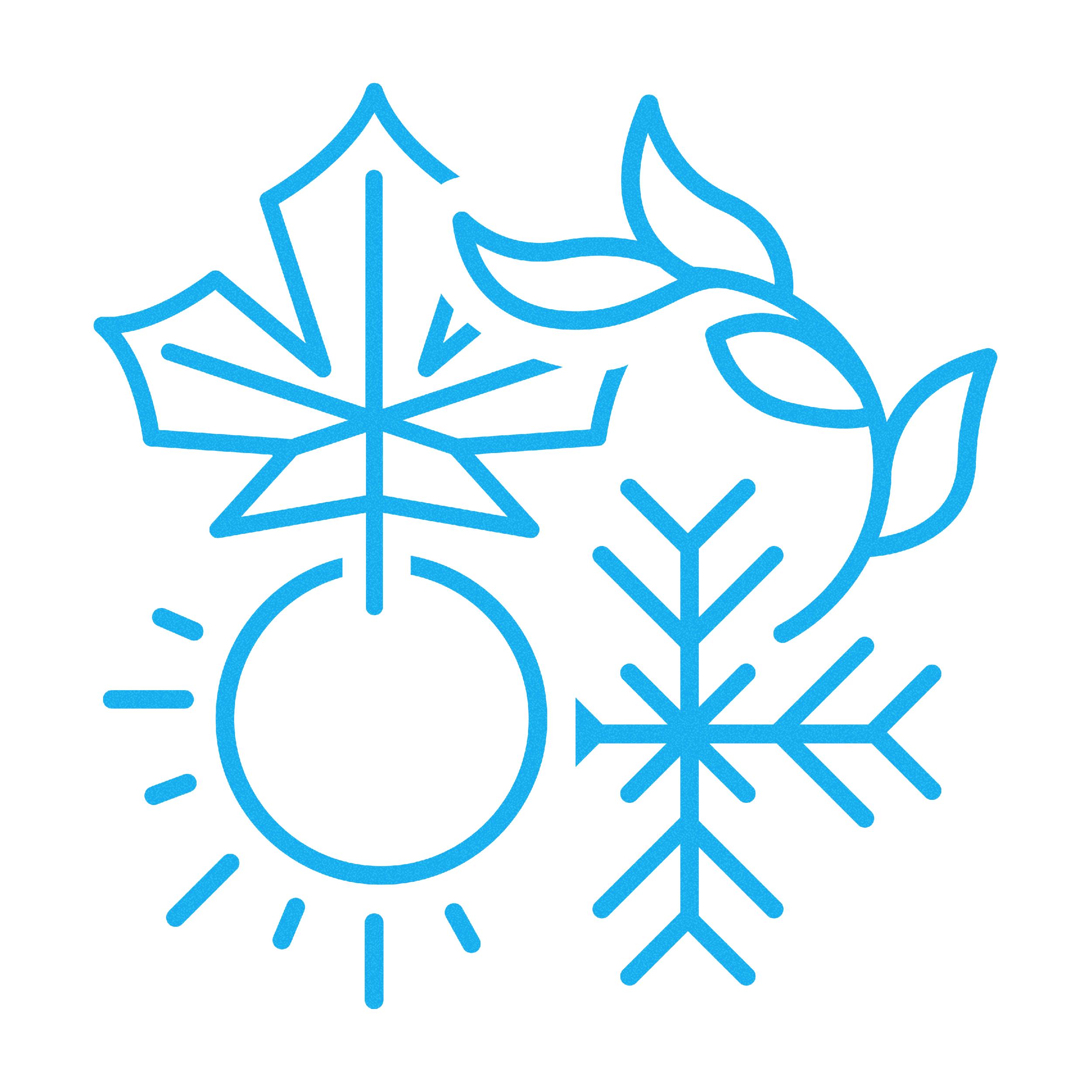 The Four Seasons