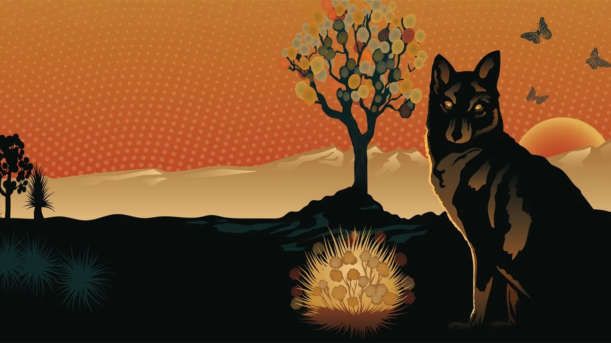 Image Sonic Ecosystems