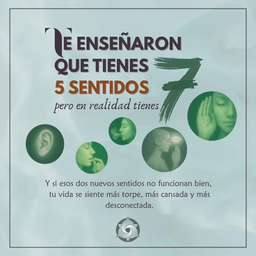 ¿Te dijeron que tenemos 5 sentidos?
En el colegio nos enseñaron cinco sentidos… pero la ciencia reconoce siete.
A la vista, el olfato, el gusto, el tacto y el oído, se suman dos nuevos sentidos: 
- La propiocep