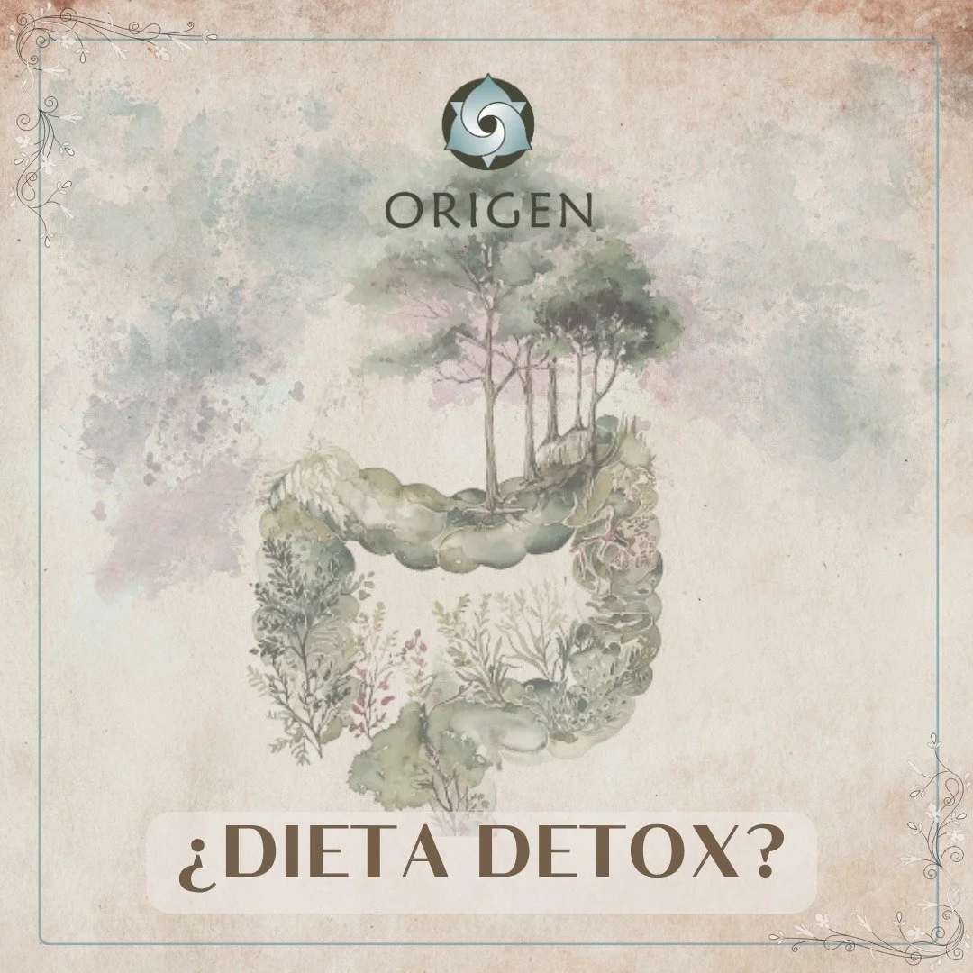 Solo 3 plazas m&aacute;s para asegurar un acompa&ntilde;amiento personalizado e individual.

Programa "Volver al Origen" - Reset de primavera.

Trabajamos desde la base cient&iacute;fica de la nutrici&oacute;n funcional e inspir&aacute;ndon