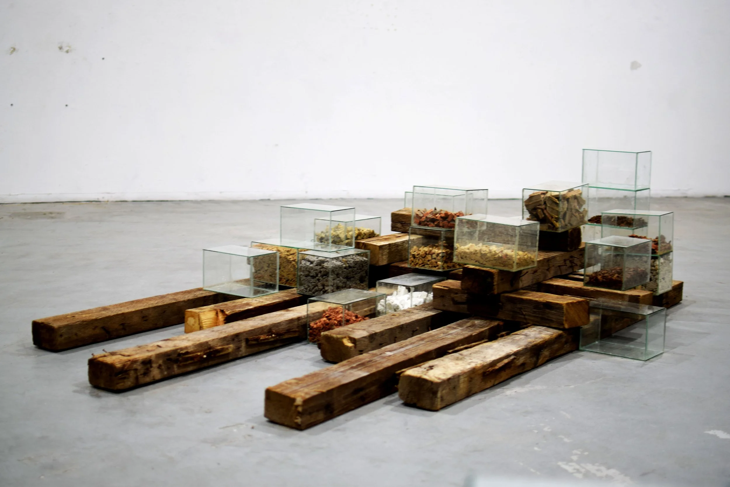 Castling Homeside  (6).JPG