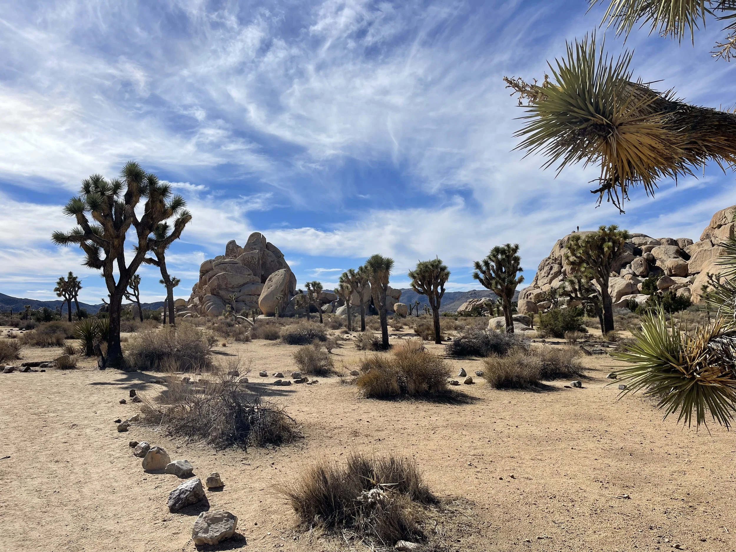 Why Nature Helps Your Nervous System Recover