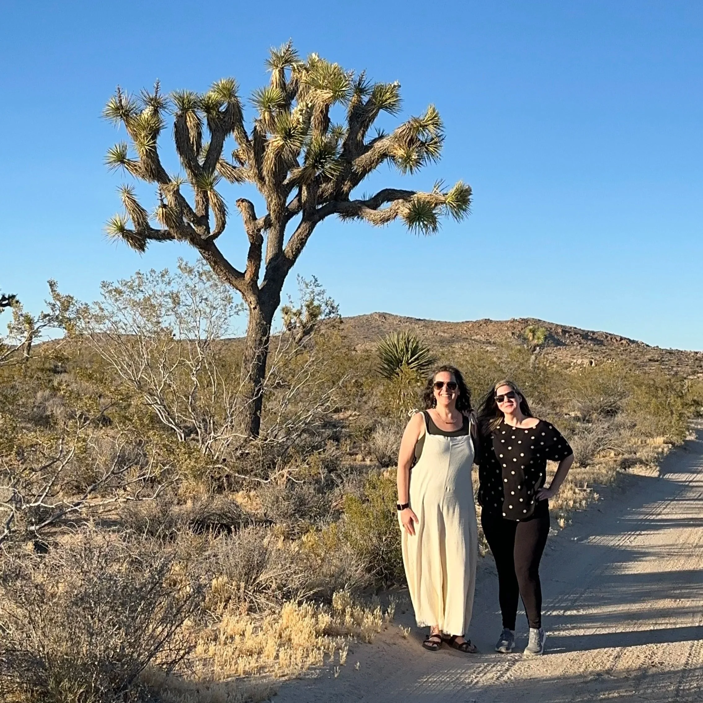 Two women standing on a desert trail with Joshua trees and desert shrubs in the background under a clear blue sky.