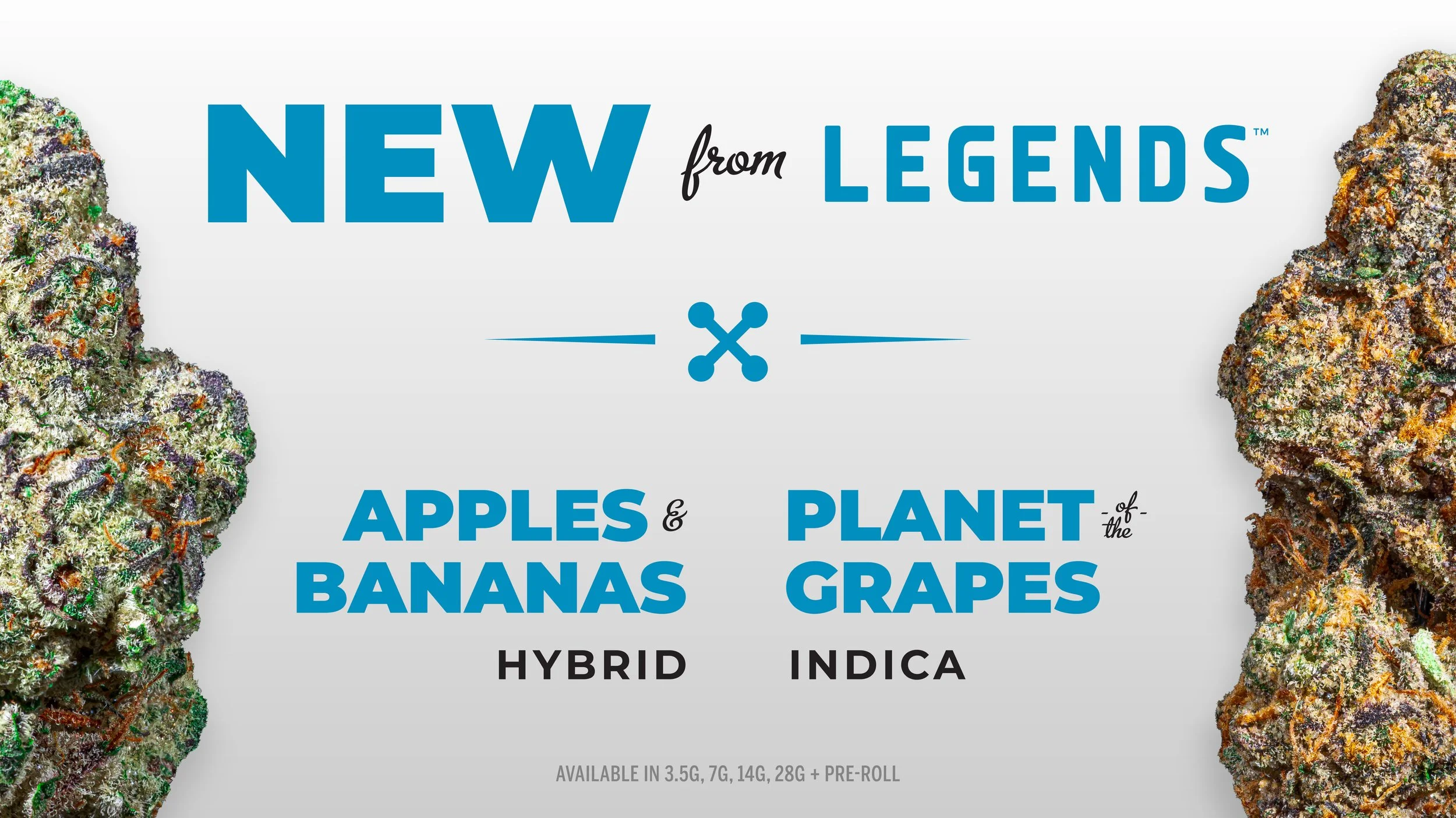 MA_Legends_Strains-WEB (2).jpg