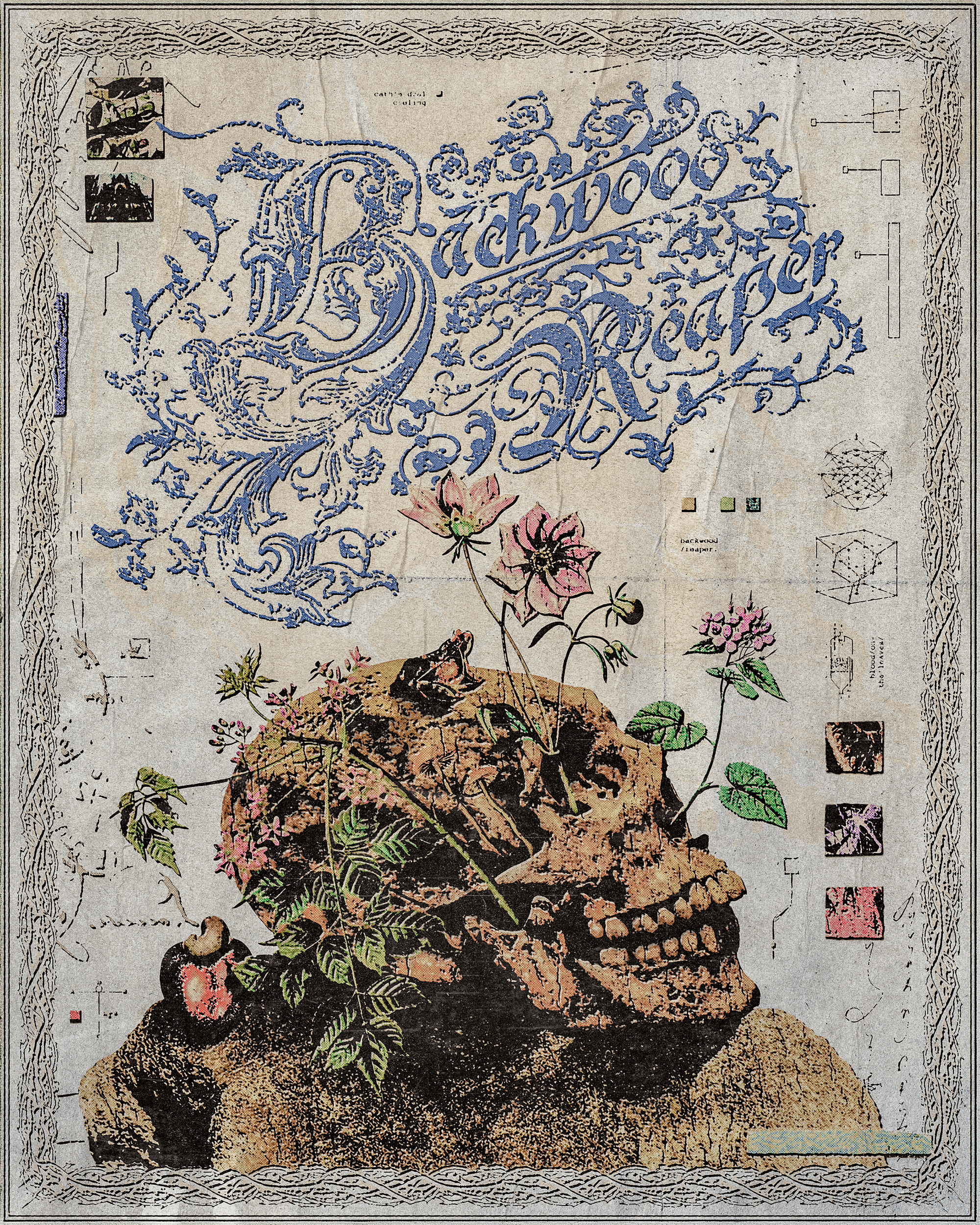 BWR-Website.png