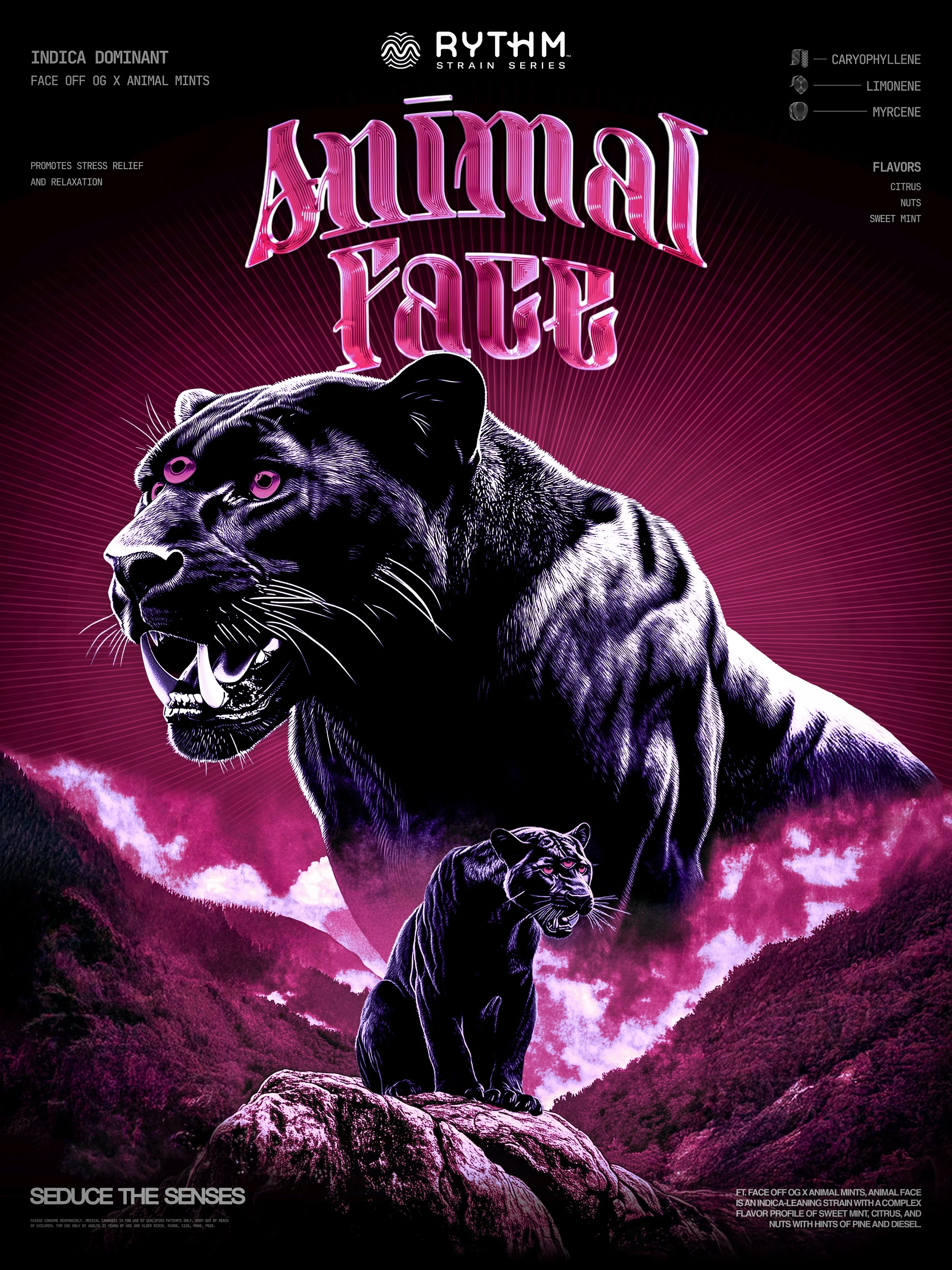 Animal-Face-SiS-Poster-Alt.jpg