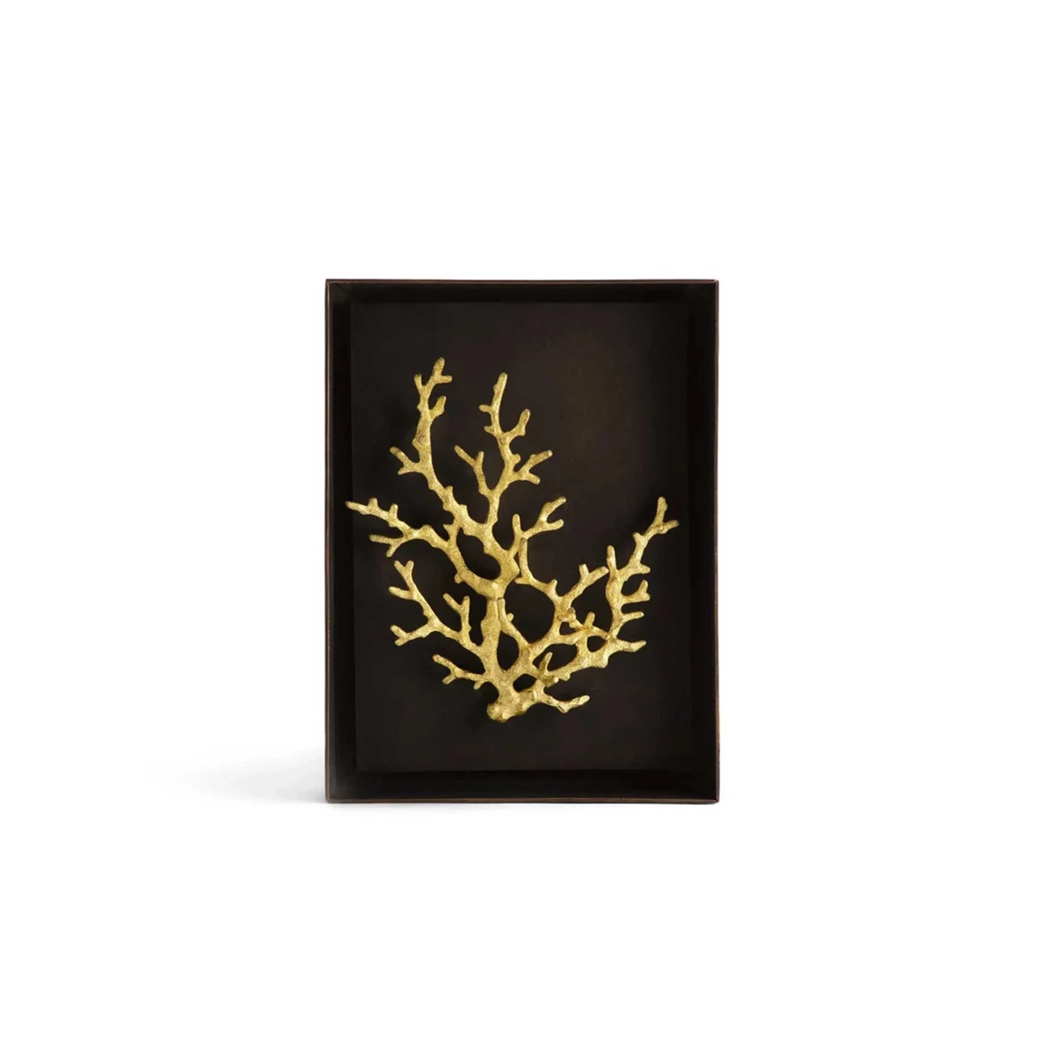 IDG-Ocean-Coral-Box-1.jpg