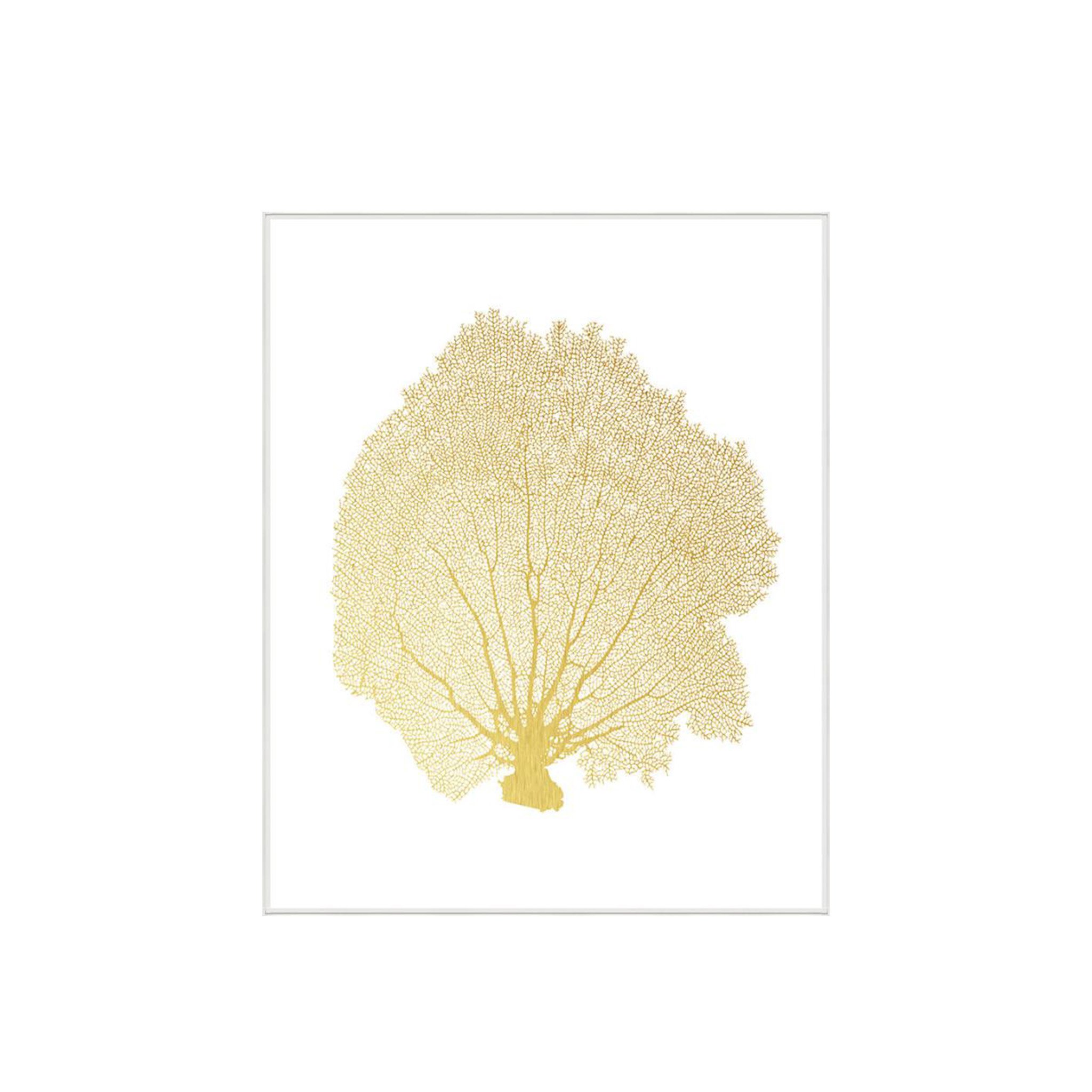 BLUSH CORAL I