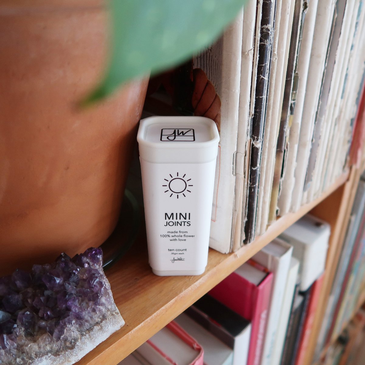 JW_Social_MiniJoint_Day_BookShelf.jpg