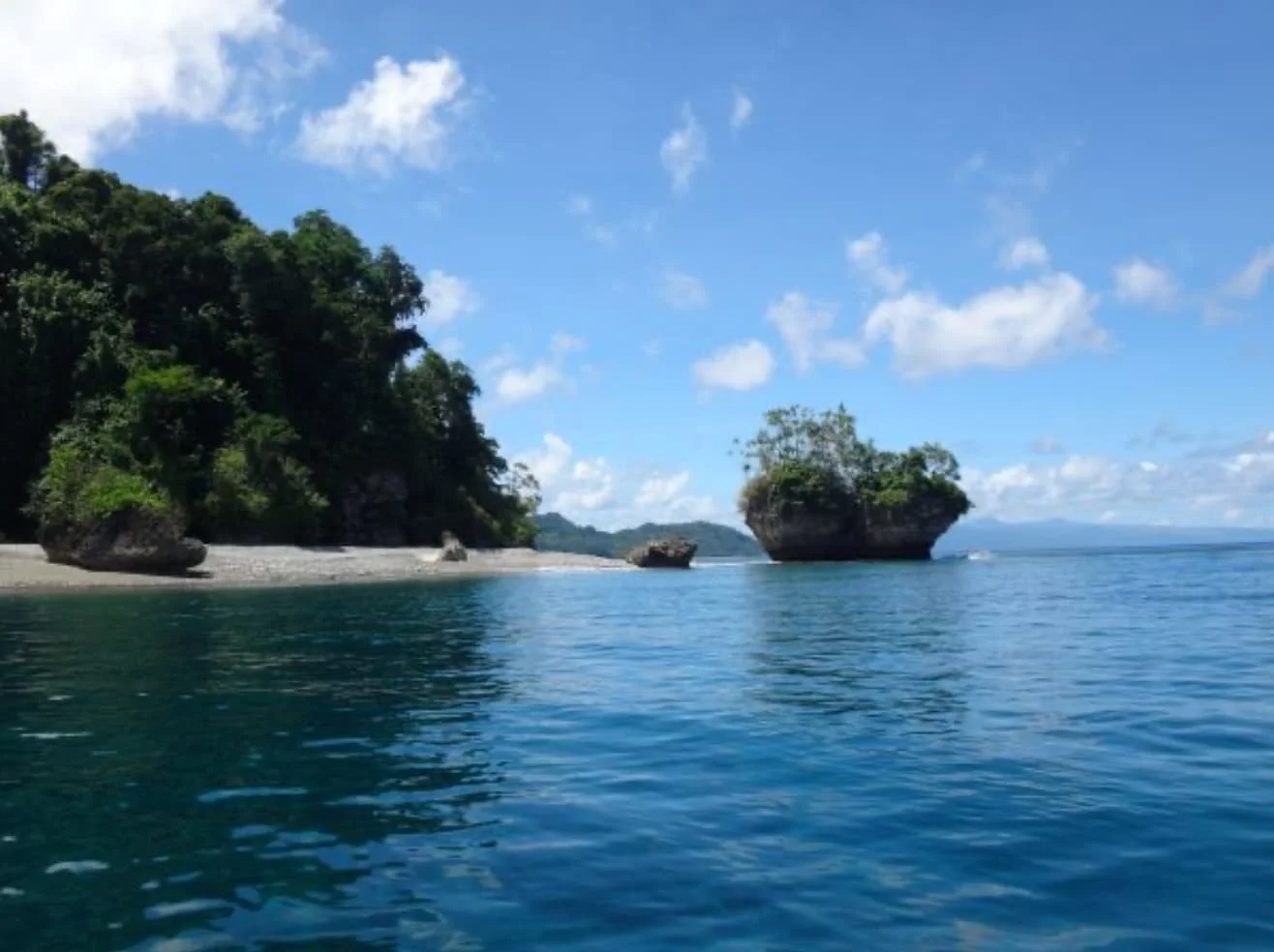pentecost island kava