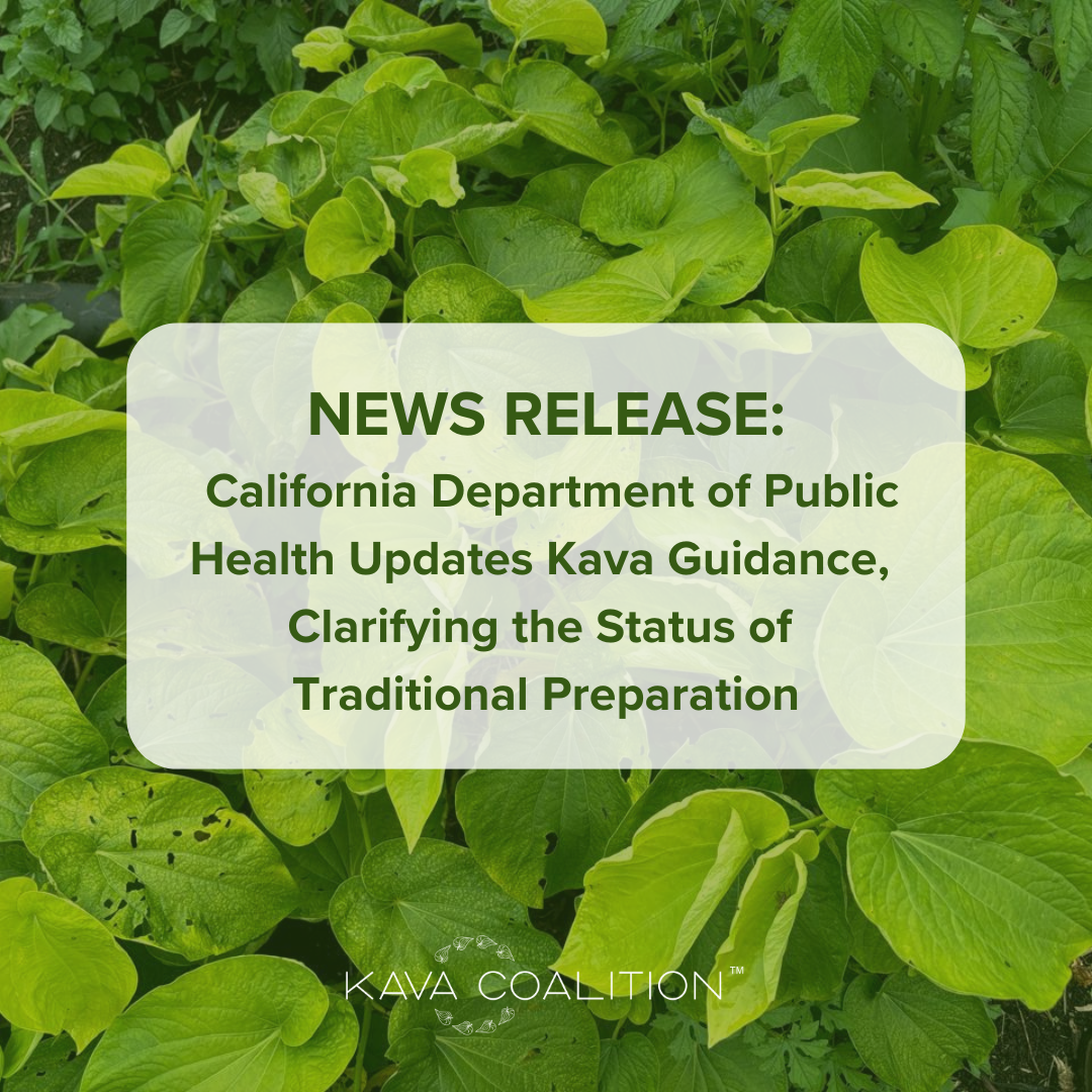 California Department of Public Health Updates Kava Guidance, Clarifying the Status of Traditional Preparation (EZ Newswire | February 3, 2026)