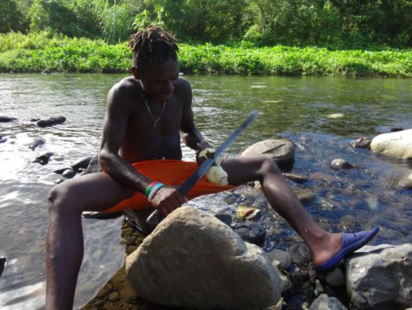 a person peel a roots of kava