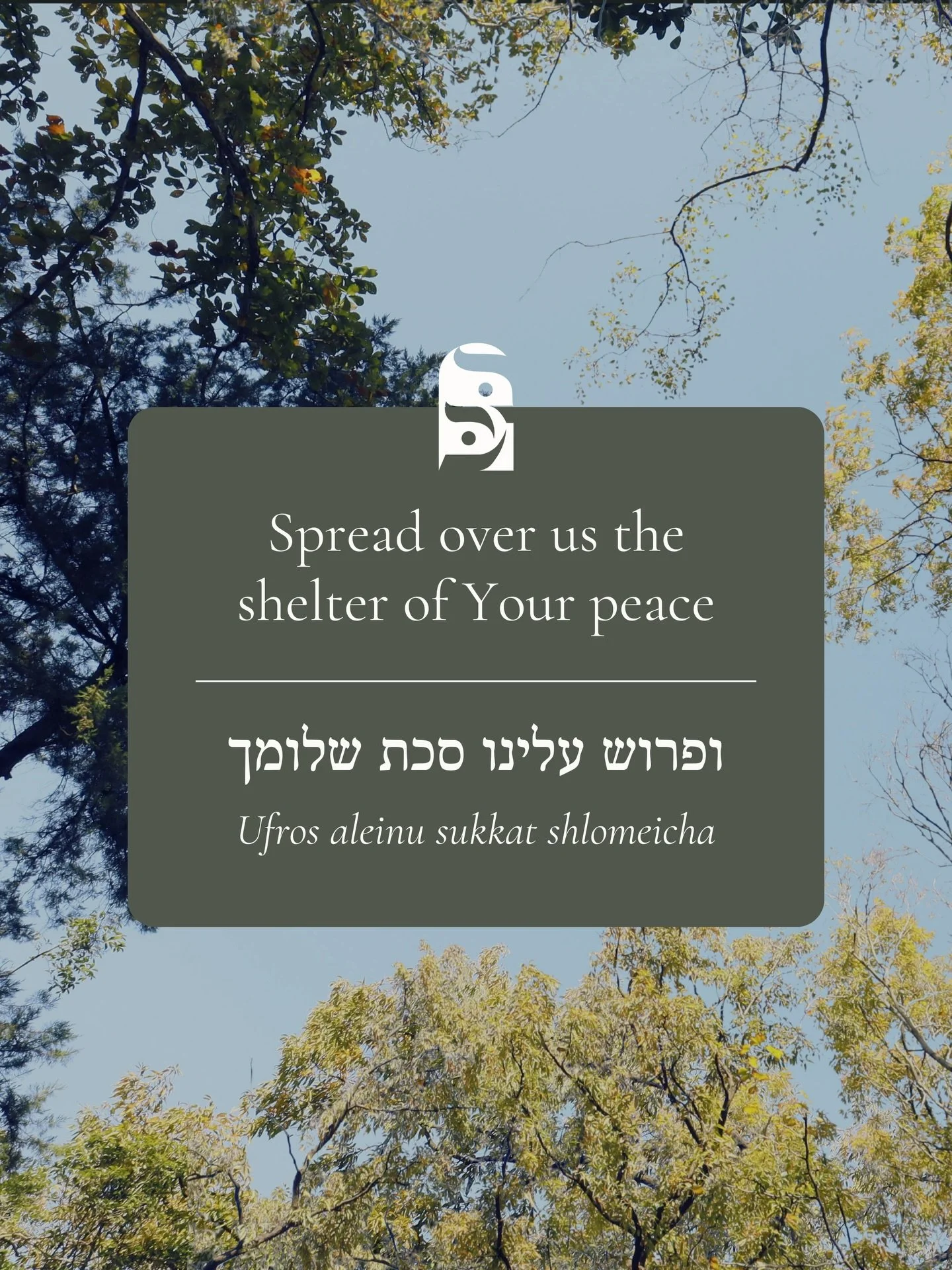 To our Beit Kohenet community,

In response to recent news, we lift up the souls of those who have lost their lives in Sydney, all who are wounded in body and spirit, and their loved ones and communities, praying that the light of Chanukah may reach 