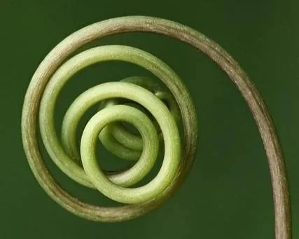 SOUL PLAY with Penina Adelman | Wednesday, April 22