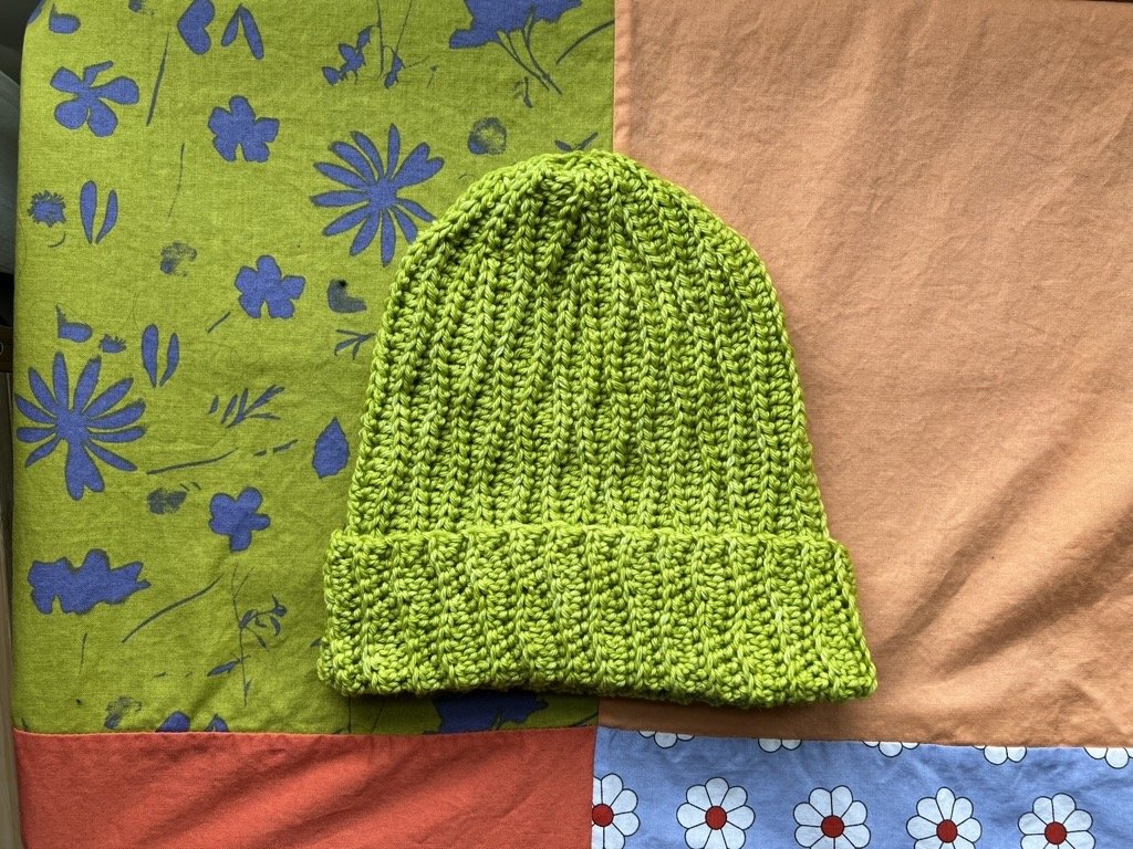 tidepool crochet beanie apple green.jpeg