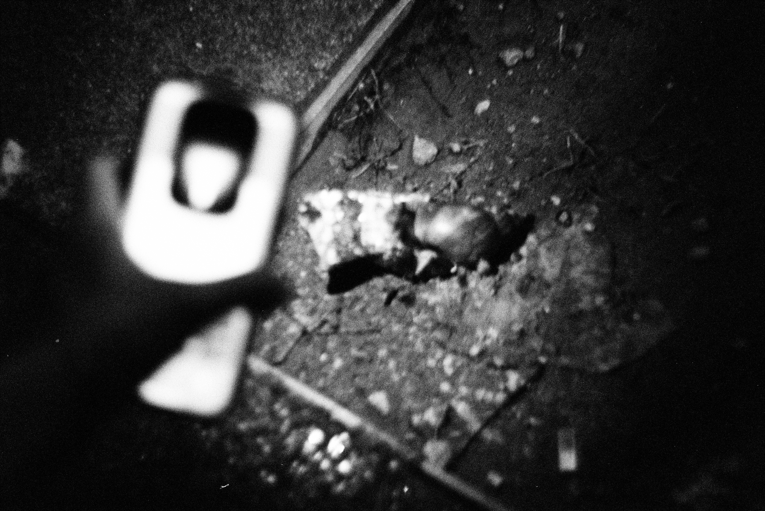 leica3200-8.png