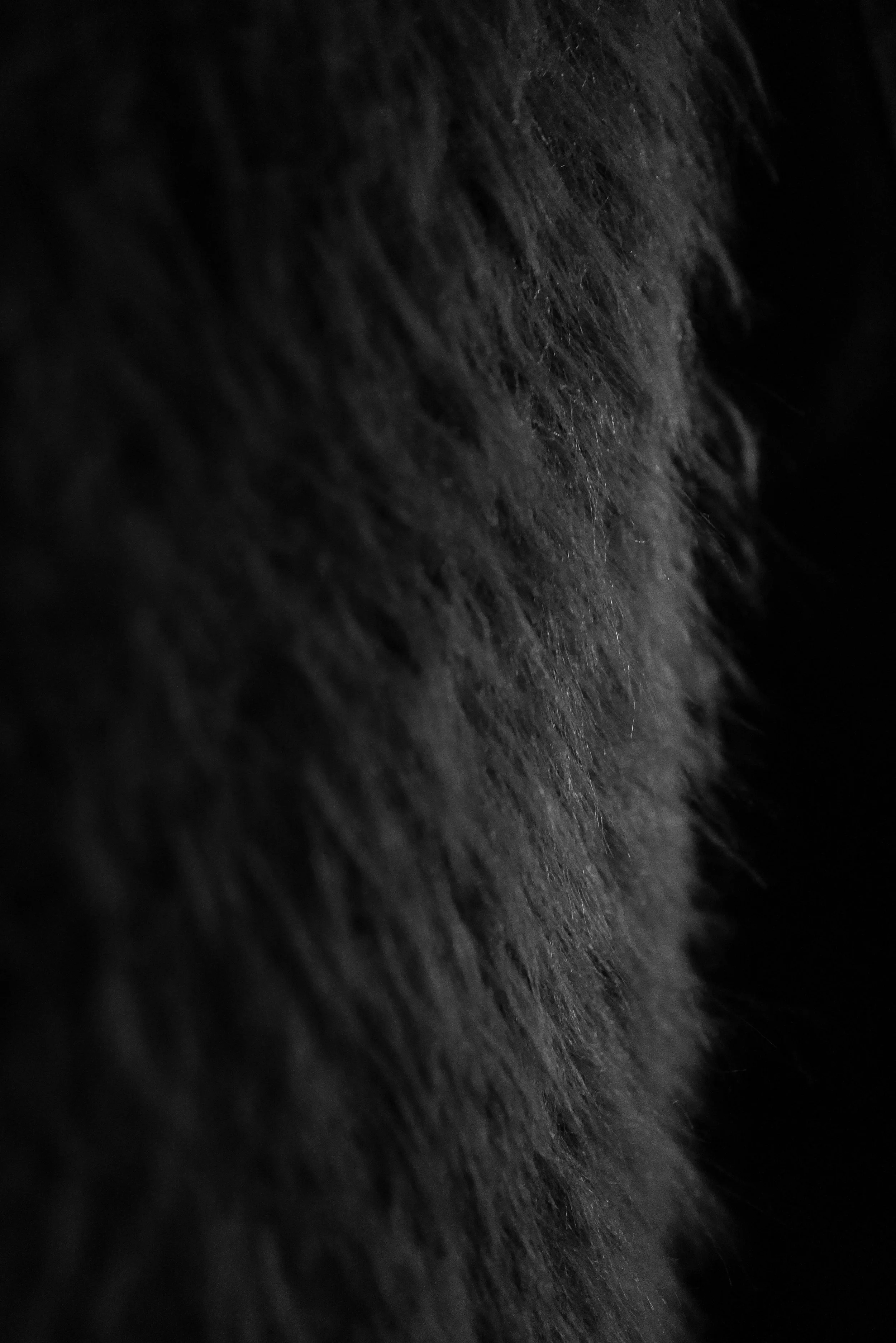 1009-9.jpg