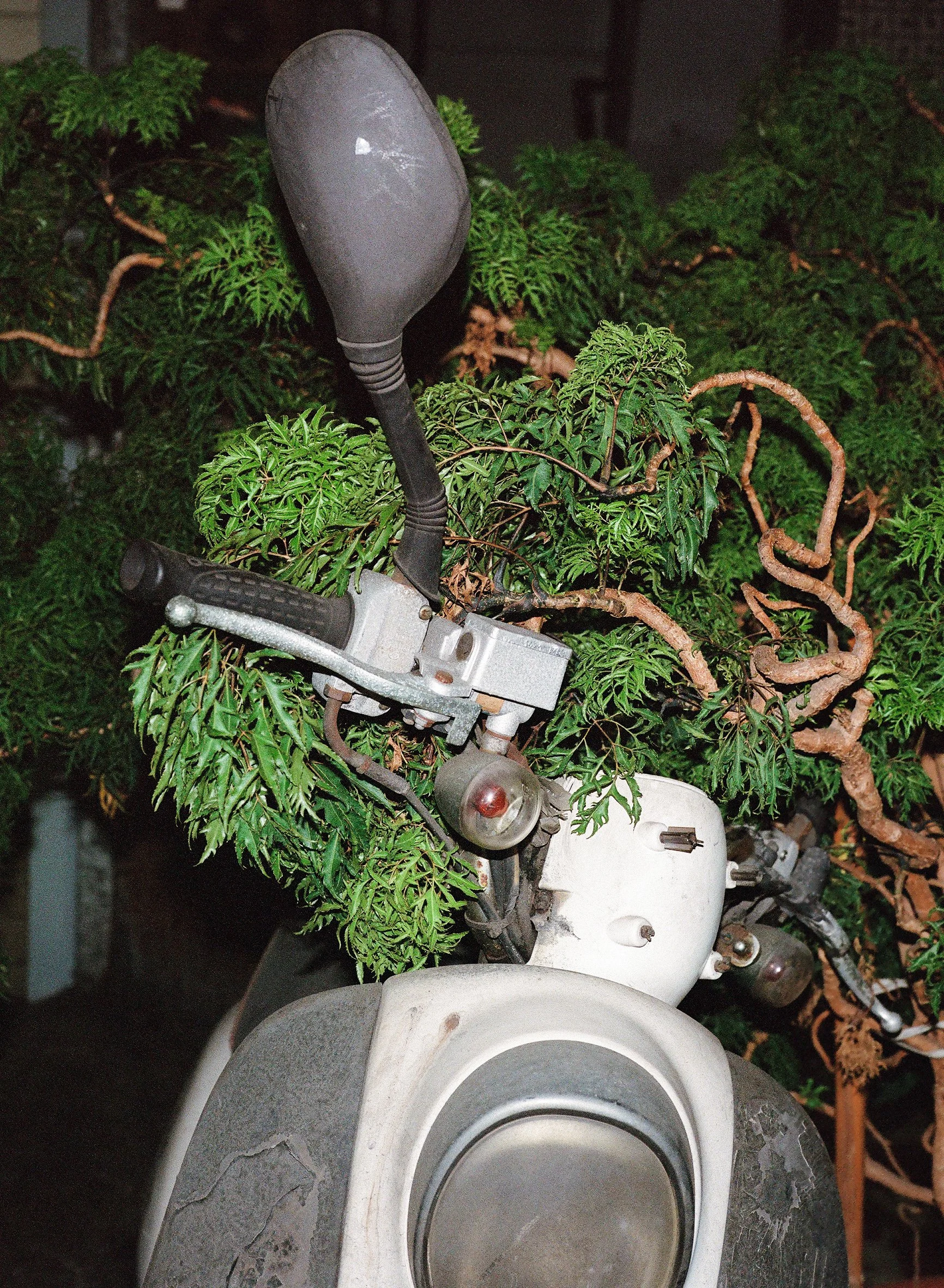 octoberfilm-10.jpg