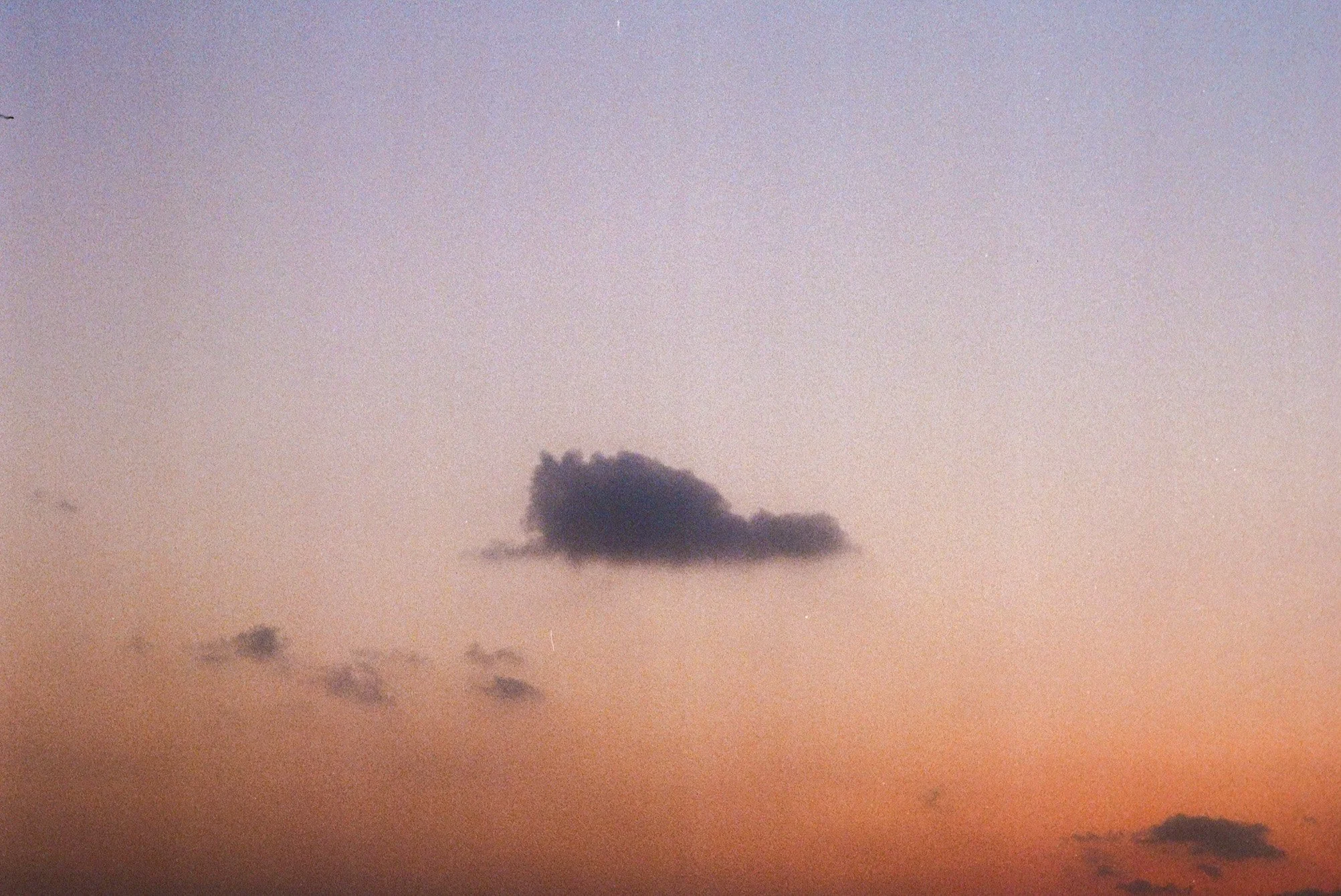 IMG_7240.jpg