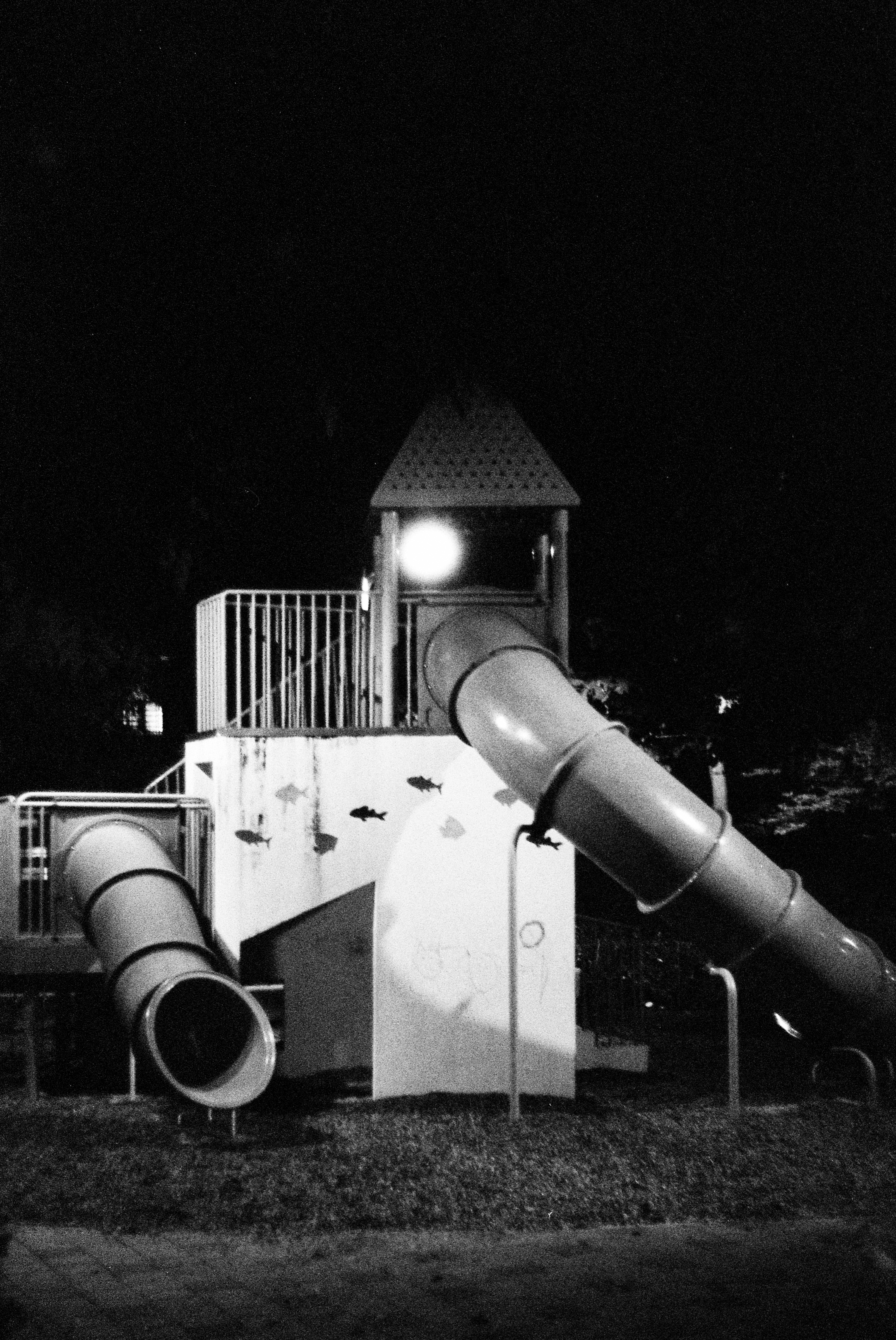 leica3200-4.png