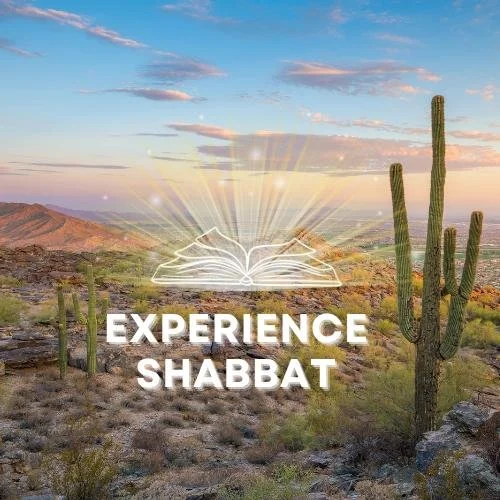 The Shabbat Experience  