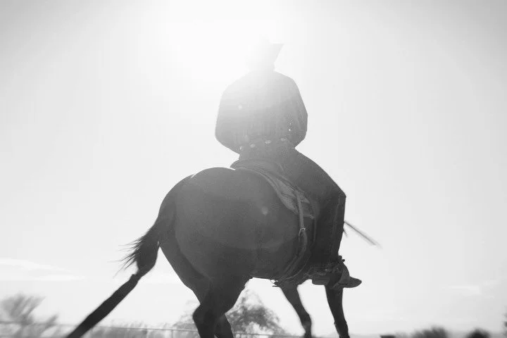 Details from Arizona in 🖤🤍

@jimgreendykhorses 

#sonyfx6 #filmmaking #reininghorses