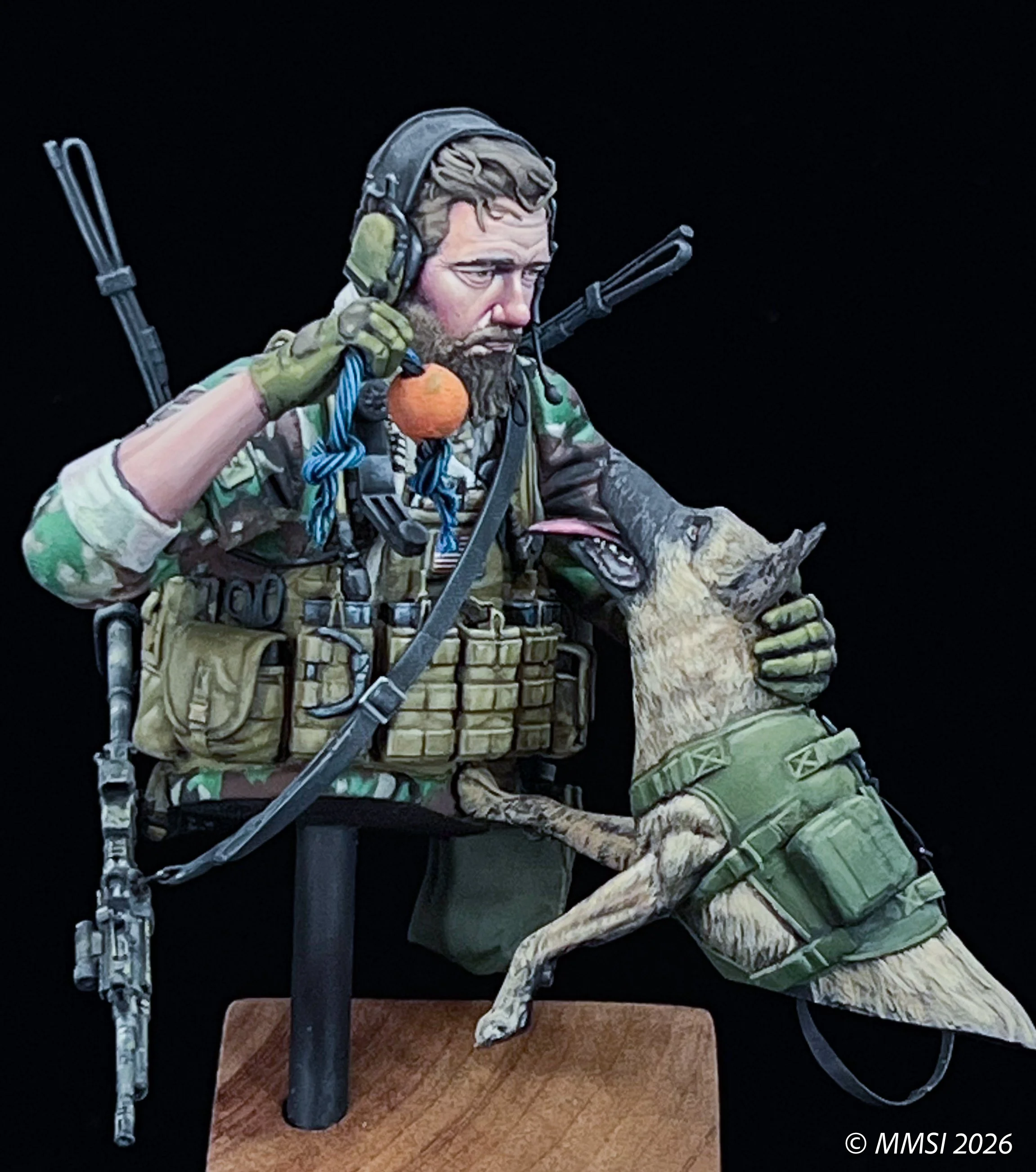 Speicial Forces Afghanistan - Stephen Ward