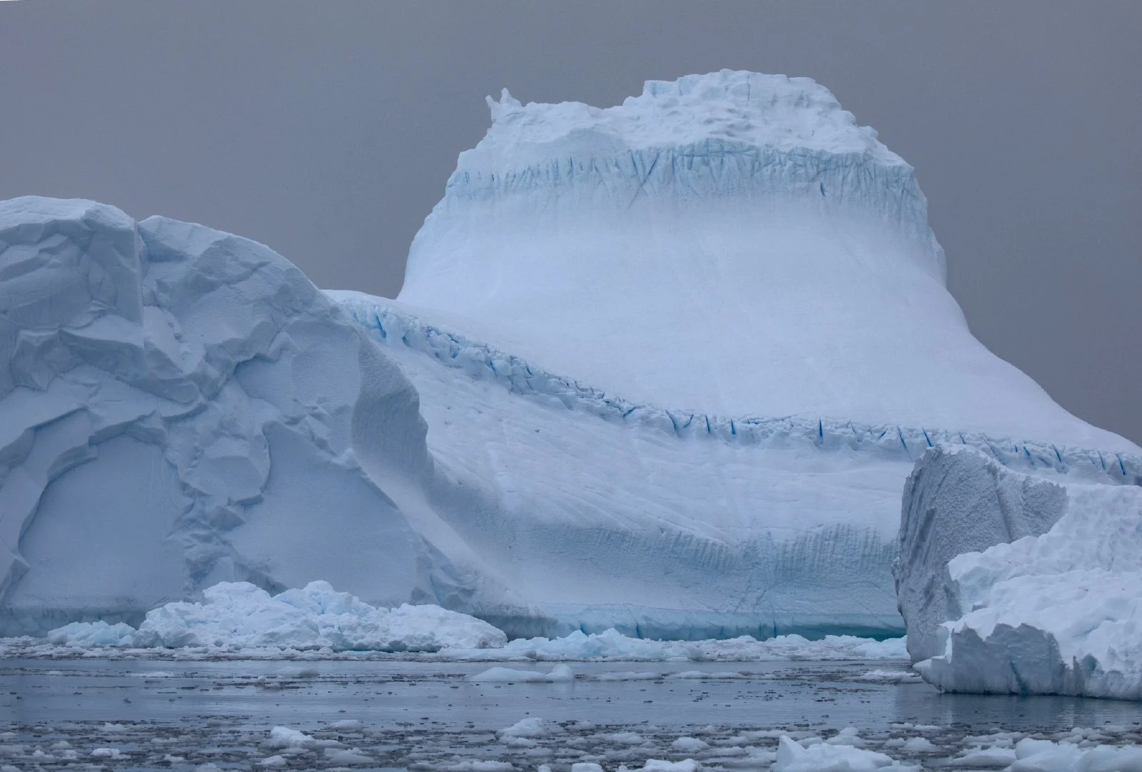 Antarctica_5759 color.JPG