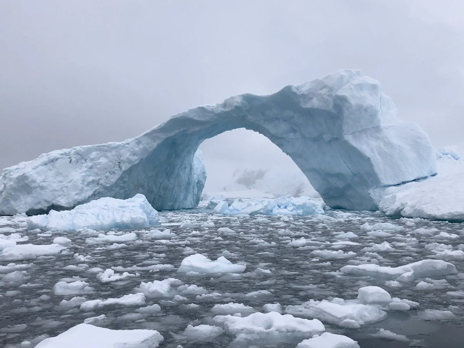 Antarctica_5882 crop color.JPG