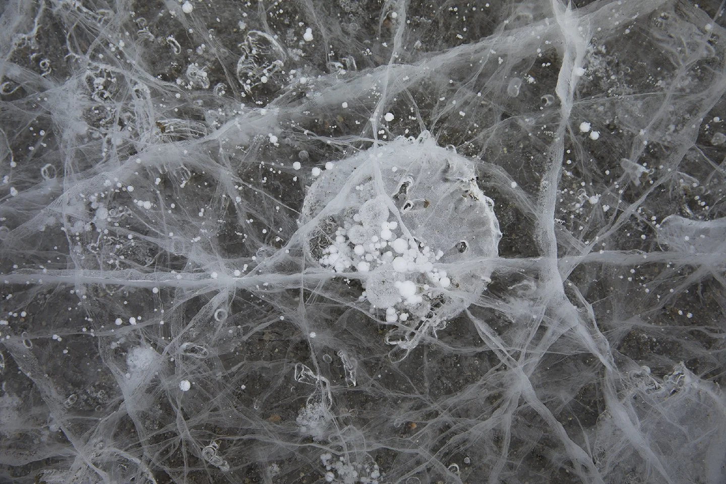 Ice detail, Dry Valleys.