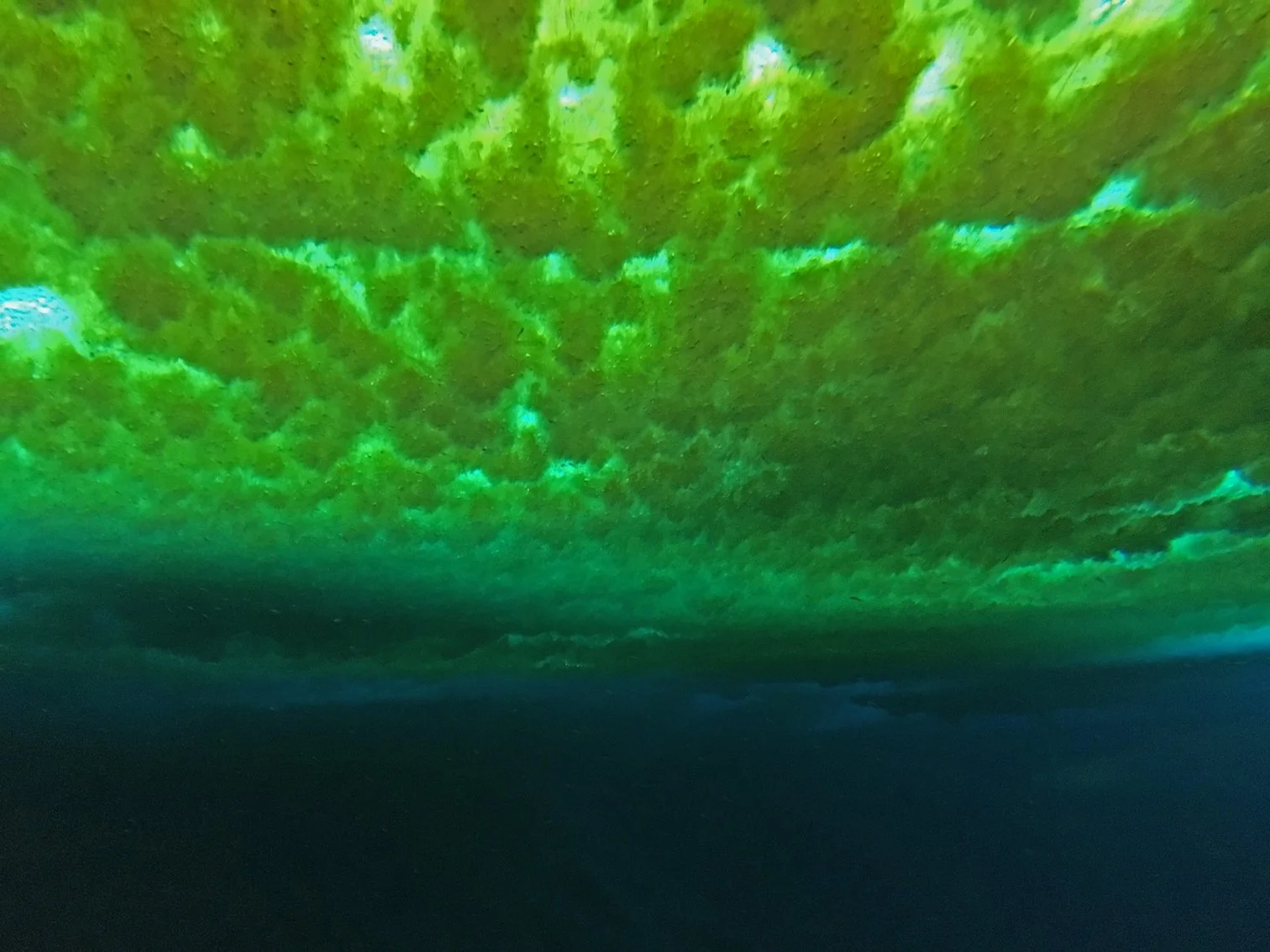Underneath the algae-covered sea ice in McMurdo Sound seen through the Observation Tube ("obs tube") at McMurdo Base.