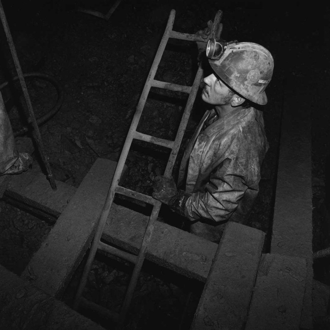 Louie Palu: Cage Call