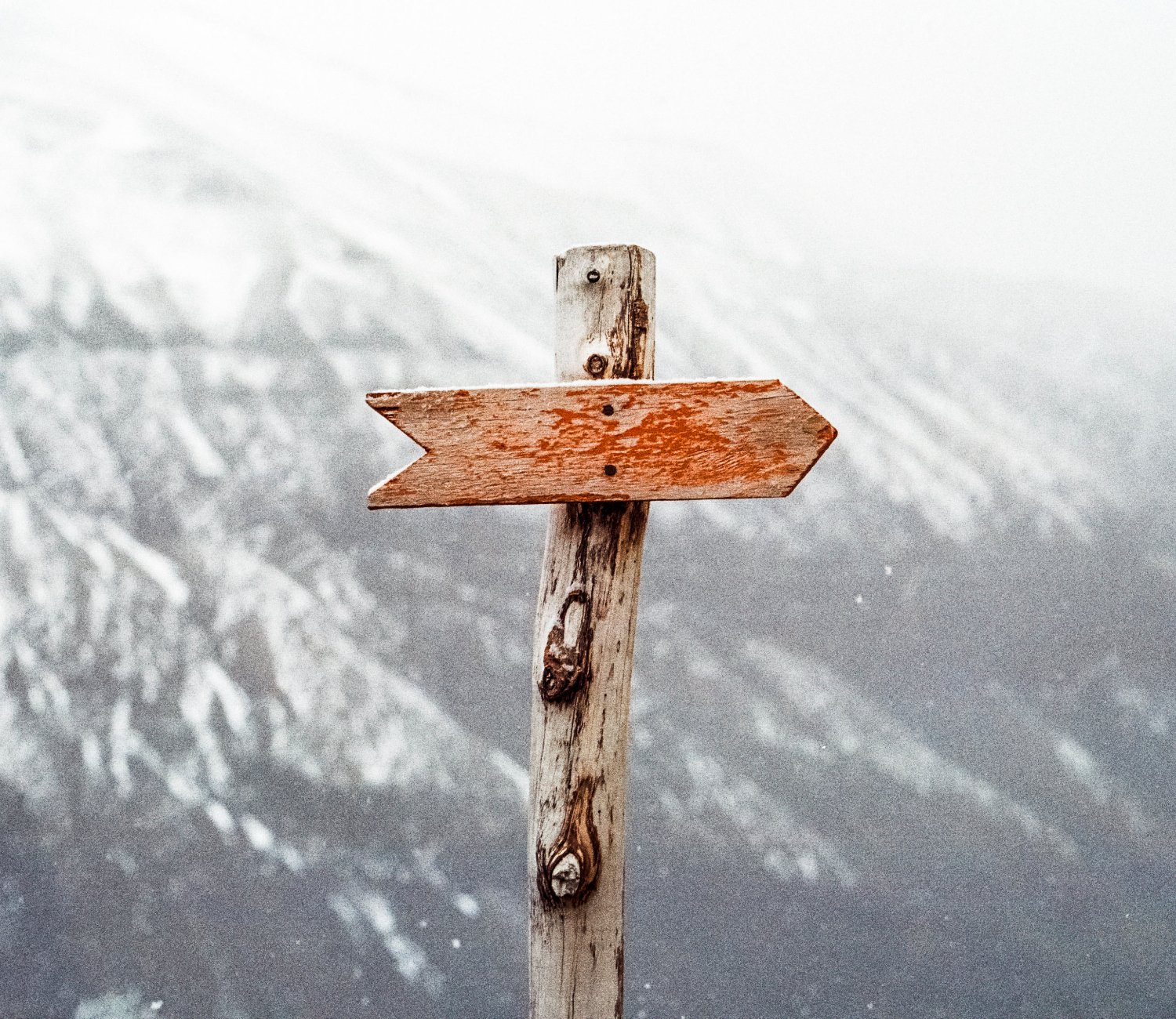 Wrap-up - A Tale of Two Triangles: Fraud, Ethics, and Aspirational Behavior