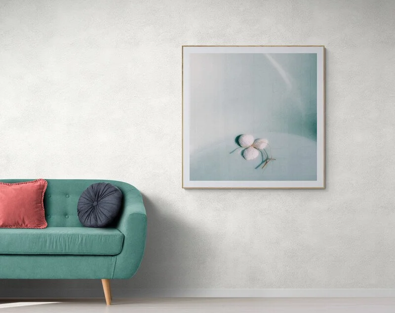 Trekløveret/The shamrock - 2023