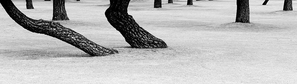 _MG_2887-Edit 1-Edit.jpg