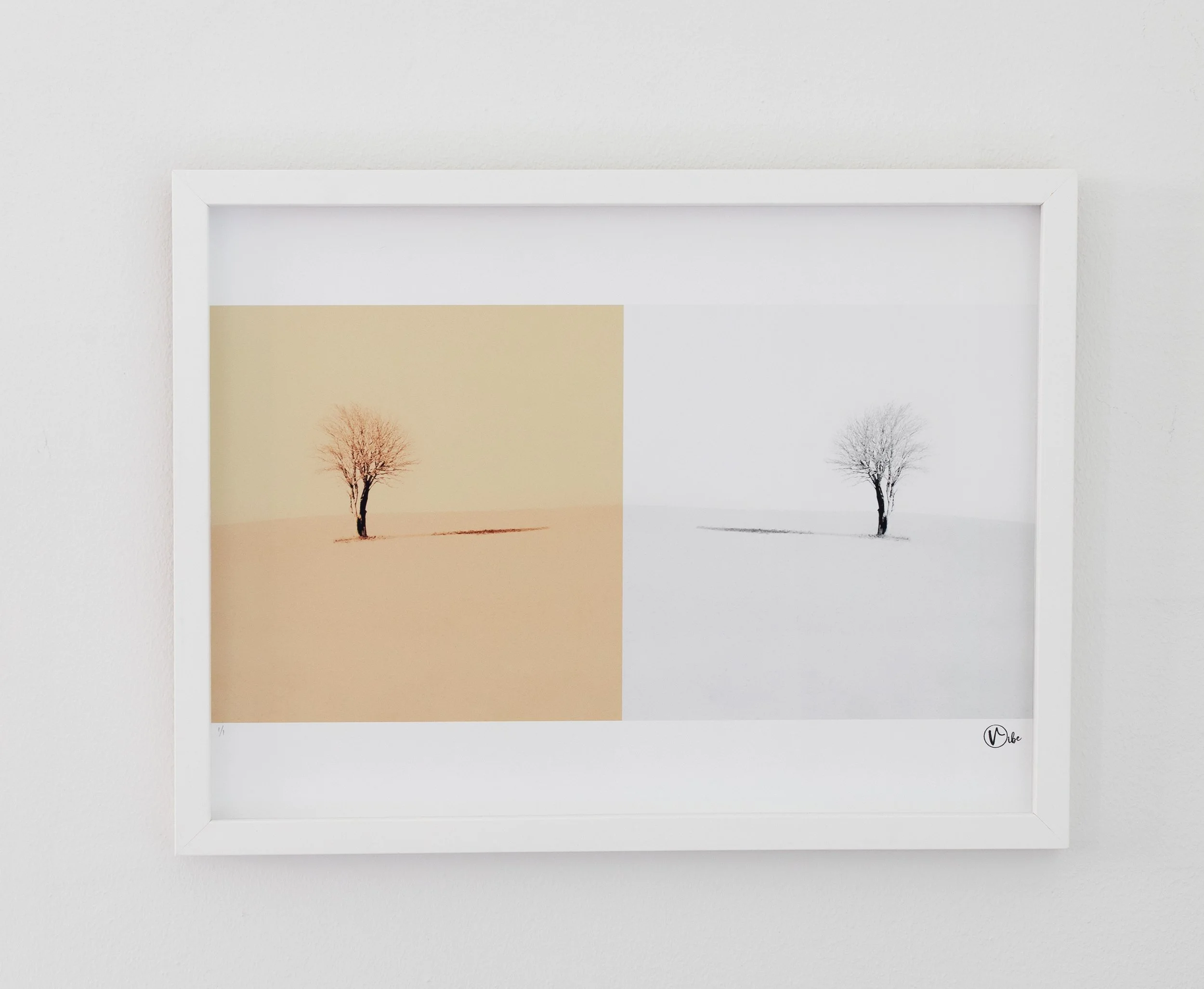 The shadow 1/1 - 2024