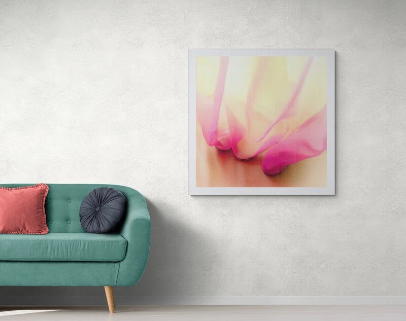 Gardinet C/The curtain C - 2024