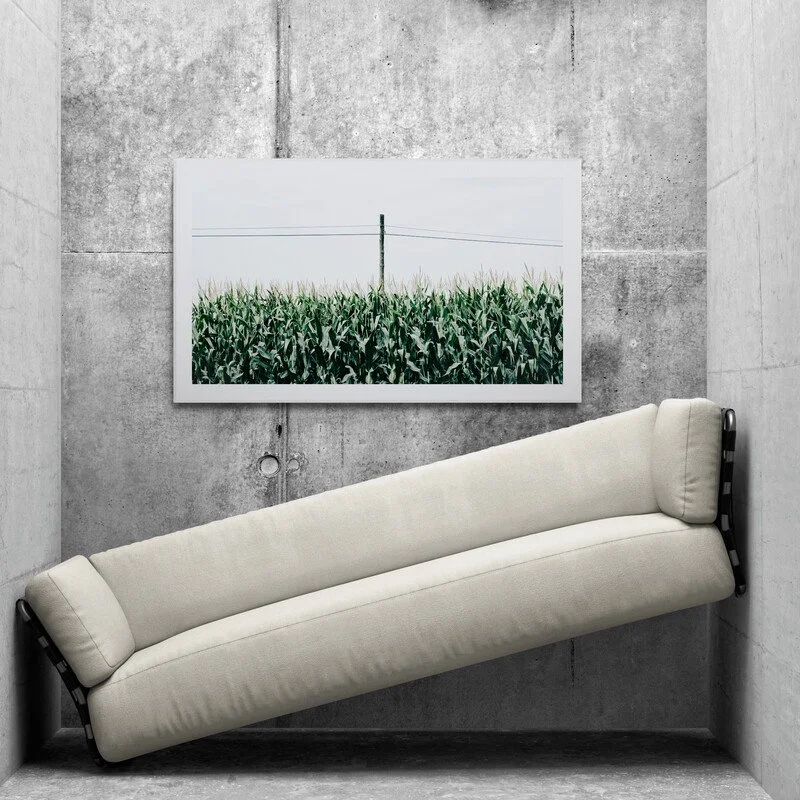 Majs/Maize - 2026