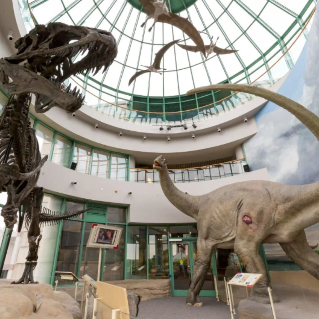 North Carolina Museum of Natural Sciences